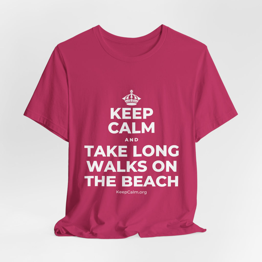 KEEP CALM AND TAKE LONG WALKS ON THE BEACH T-Shirt (Baby Blue–Silver)