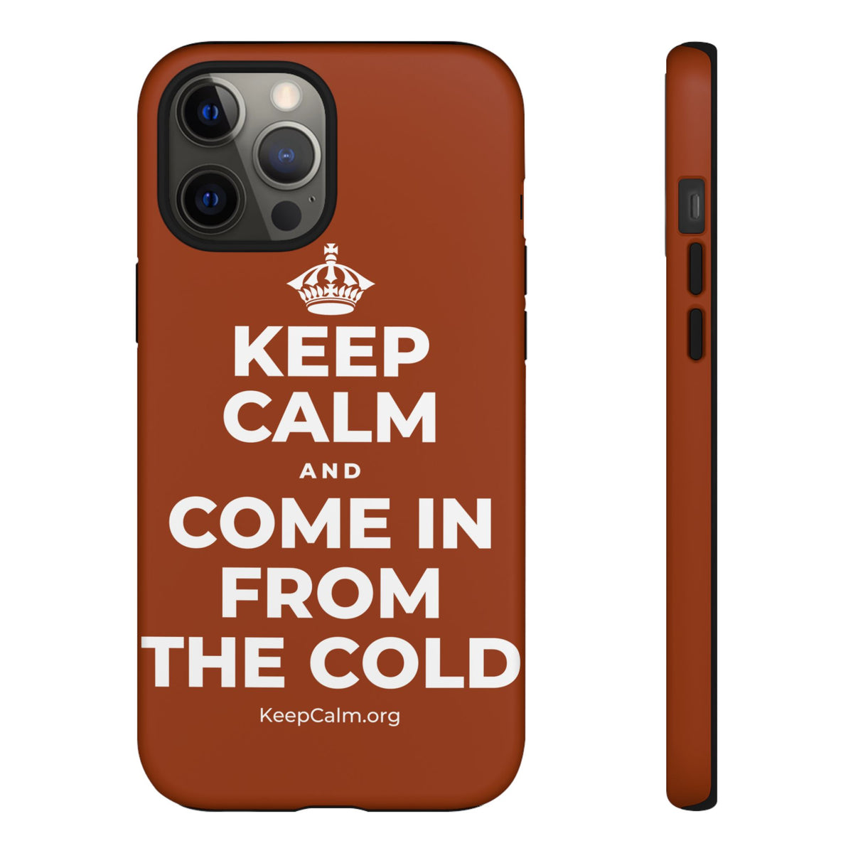 KEEP CALM AND COME IN FROM THE COLD Phone Case