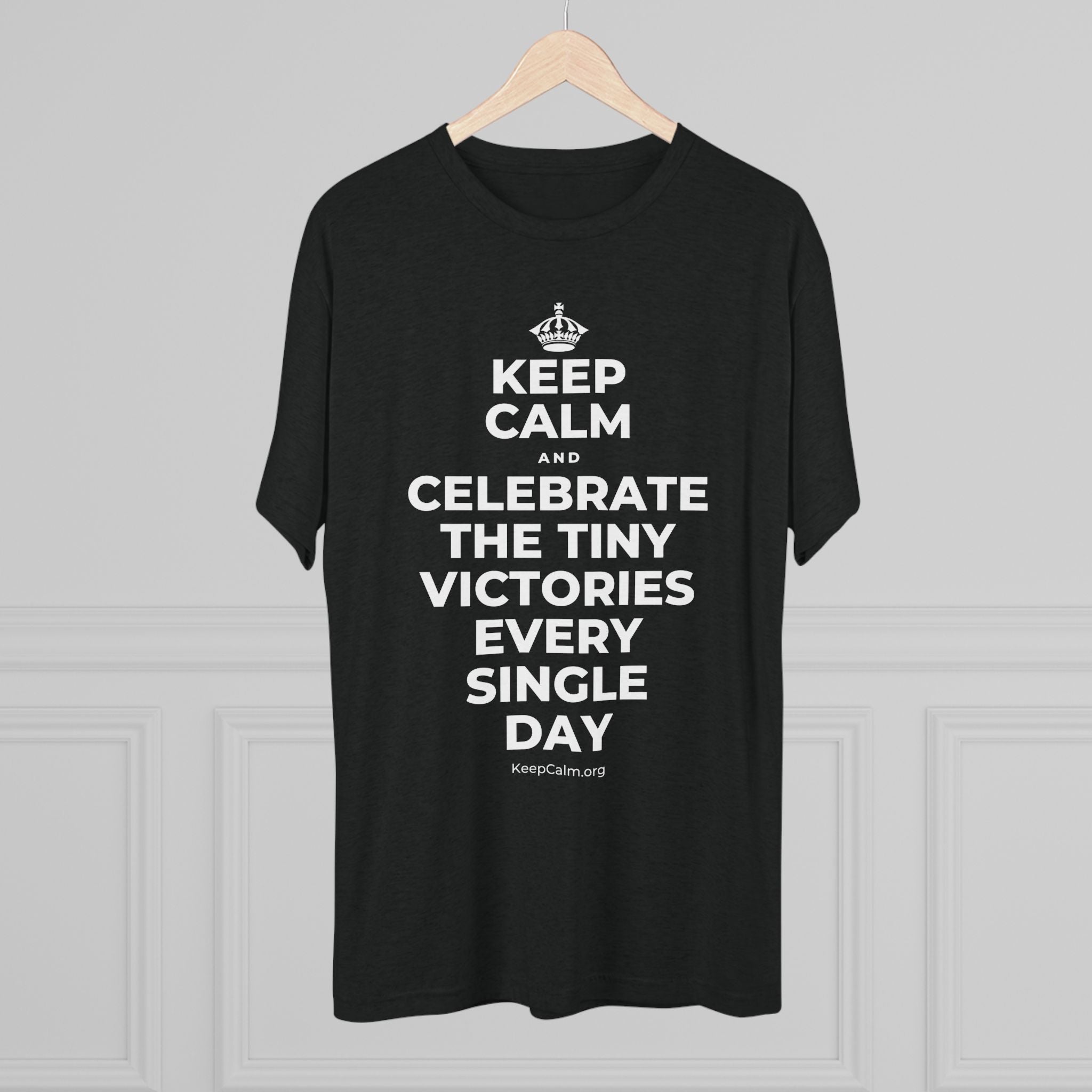 KEEP CALM AND CELEBRATE THE TINY VICTORIES EVERY SINGLE DAY Tri-Blend Tee