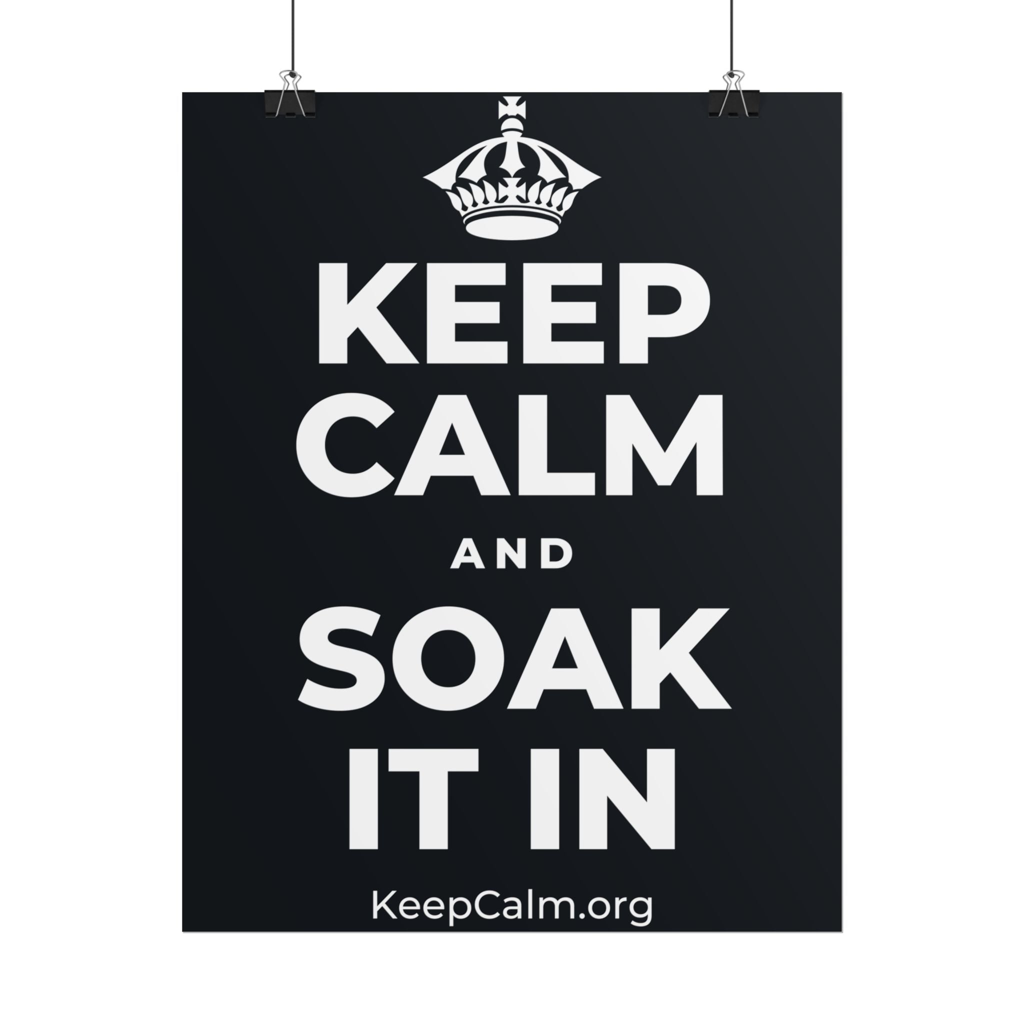 KEEP CALM AND SOAK IT IN Poster (Dark)