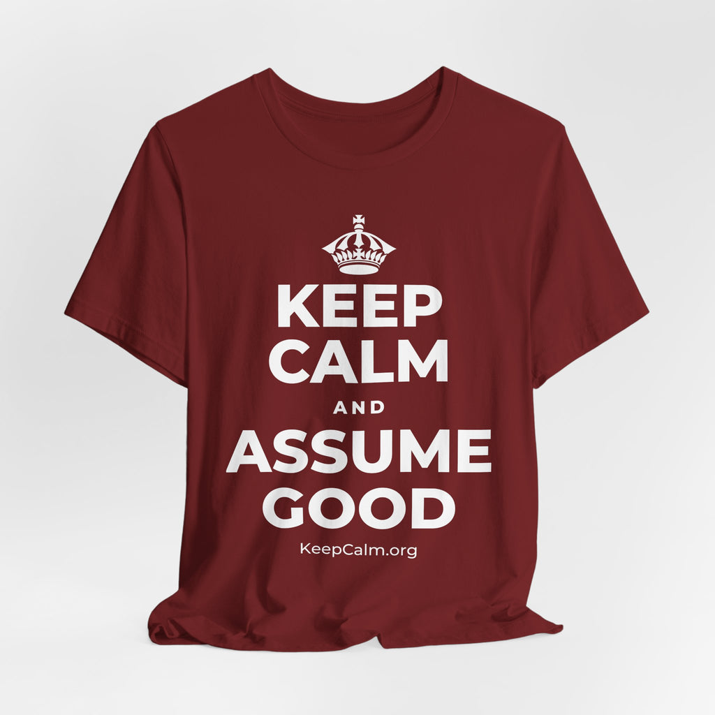 KEEP CALM AND ASSUME GOOD T-Shirt (Baby Blue–Silver)