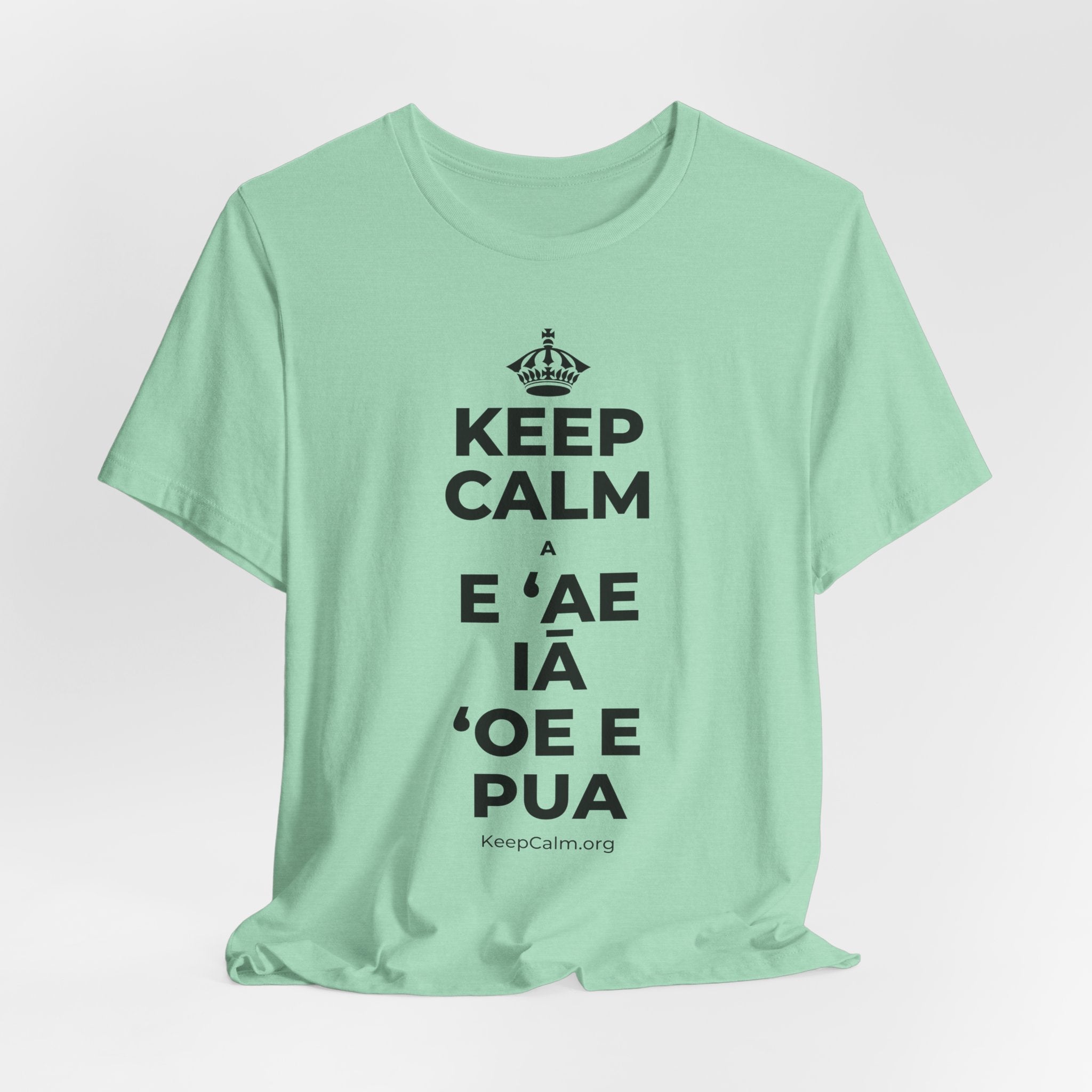 KEEP CALM A E ʻAE IĀ ʻOE E PUA T-Shirt (Baby Blue–Silver)