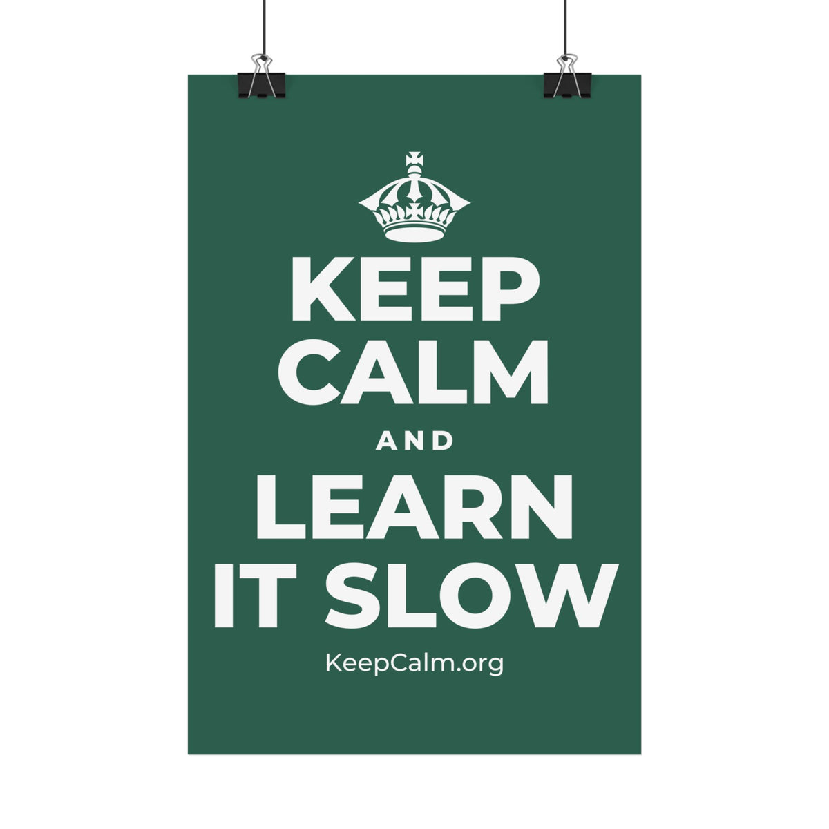 KEEP CALM AND LEARN IT SLOW Satin Poster
