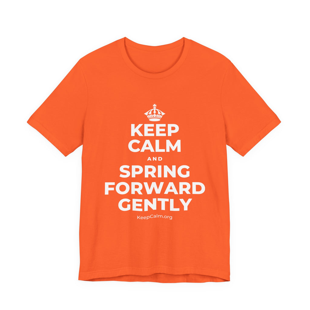 KEEP CALM AND SPRING FORWARD GENTLY T-Shirt (Baby Blue–Silver)