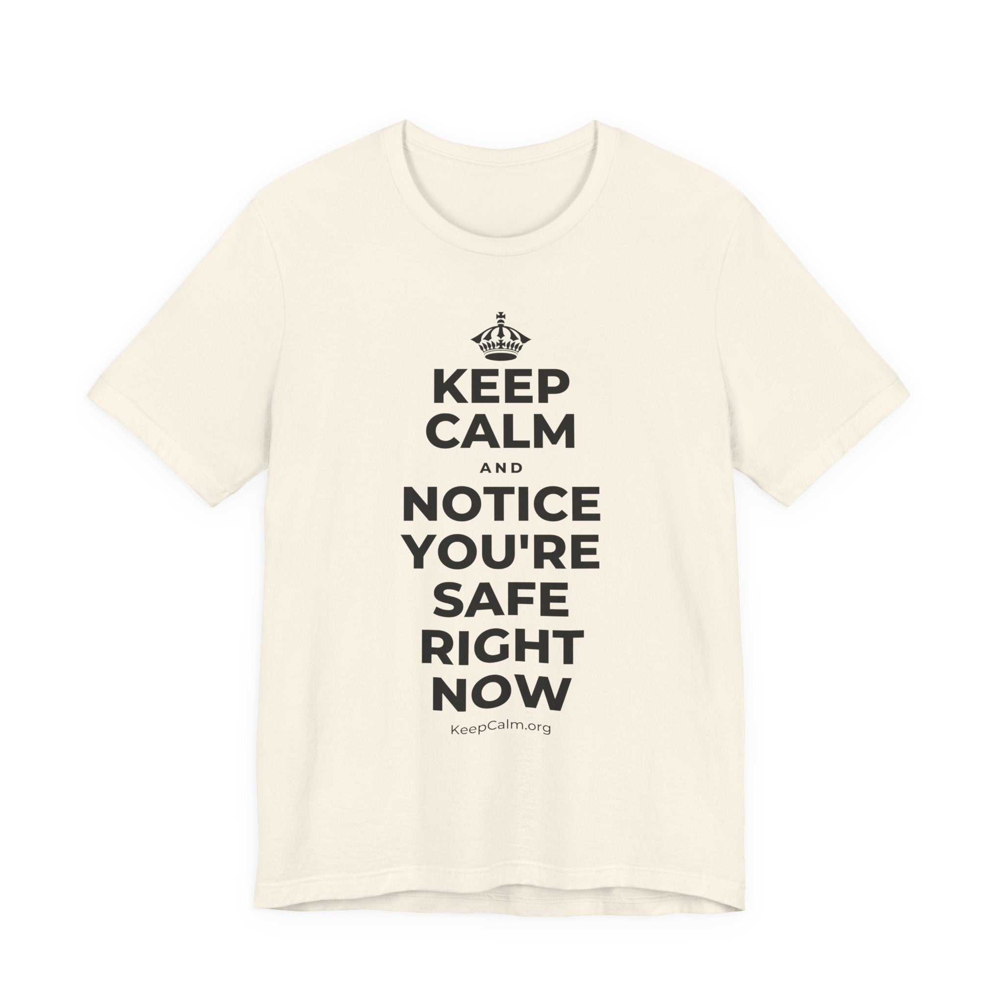 KEEP CALM AND NOTICE YOU'RE SAFE RIGHT NOW T-Shirt (White–Asphalt)