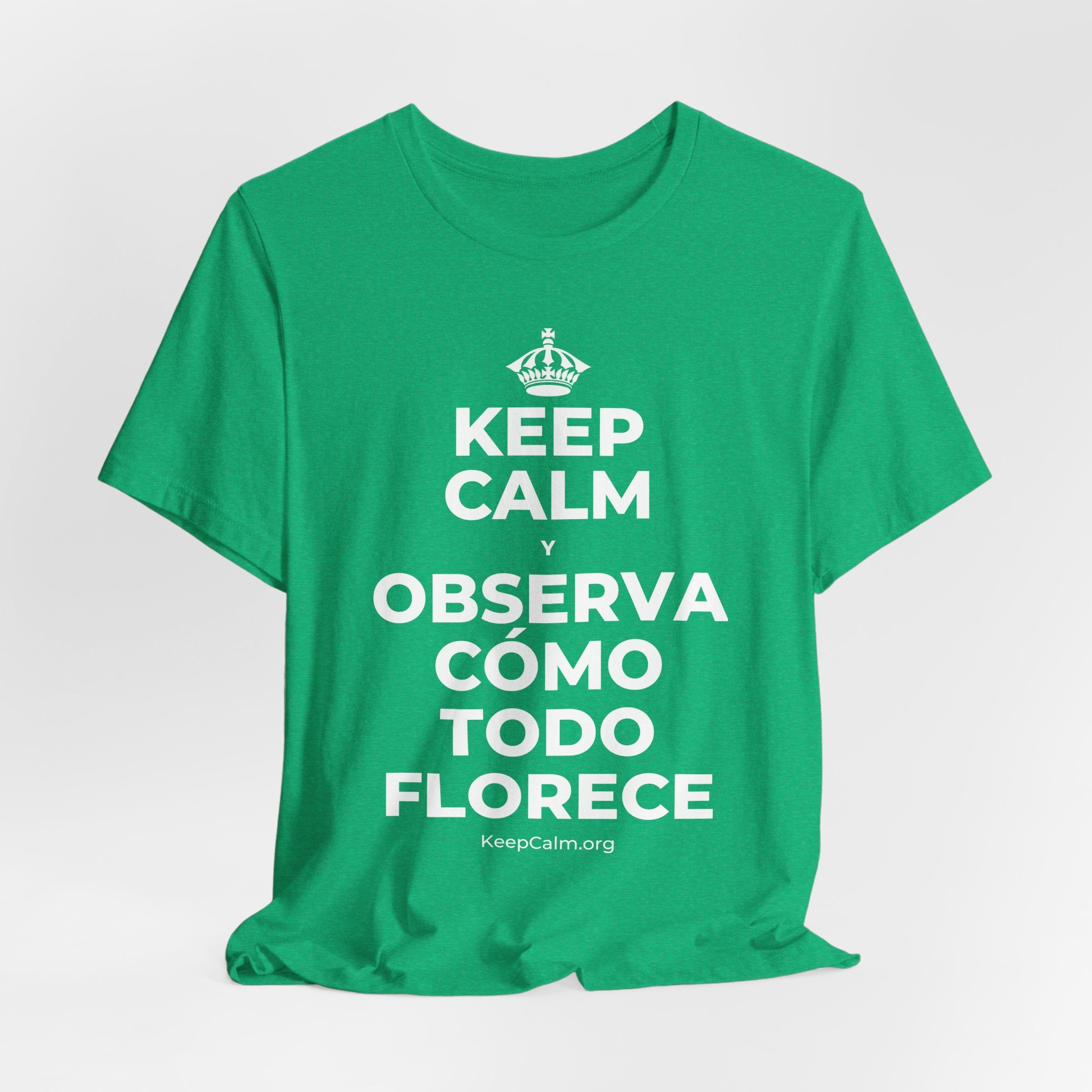 KEEP CALM Y OBSERVA CÓMO TODO FLORECE T-Shirt (Baby Blue–Silver)