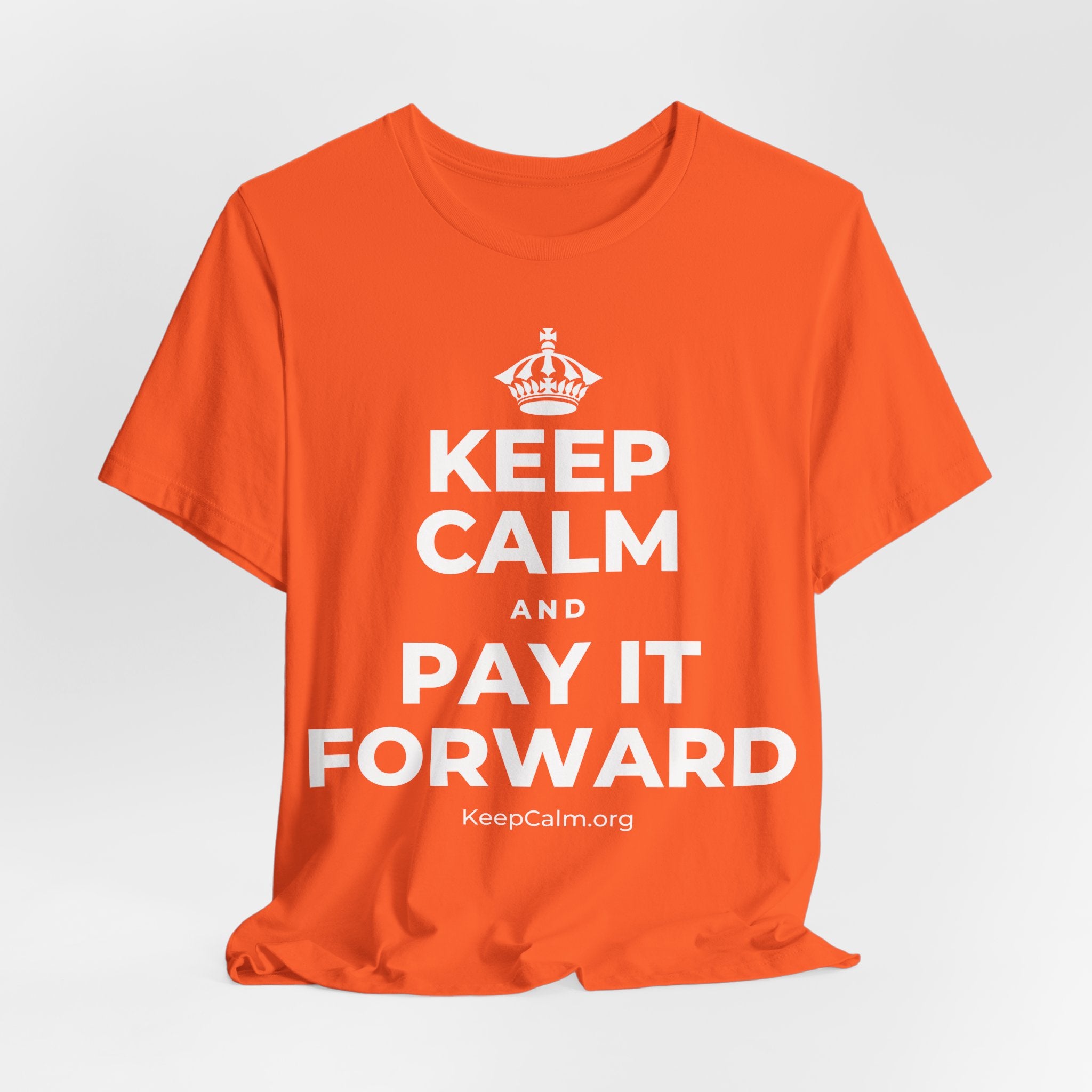 KEEP CALM AND PAY IT FORWARD T-Shirt (Baby Blue–Silver)