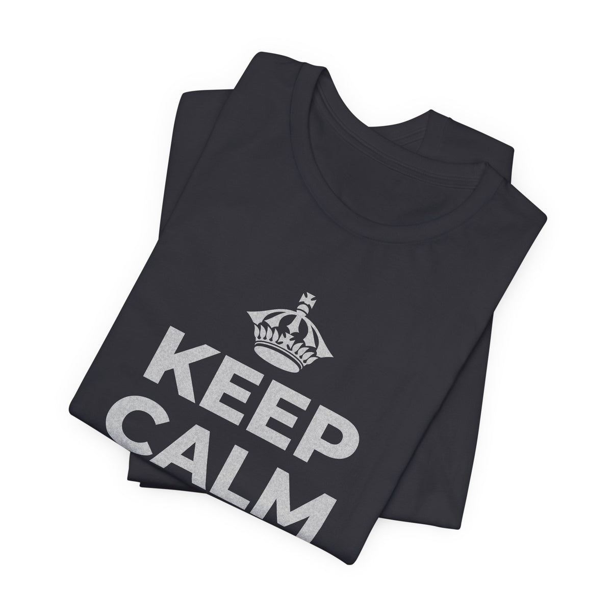 KEEP CALM AND OWN IT T-Shirt (Baby Blue–Silver)