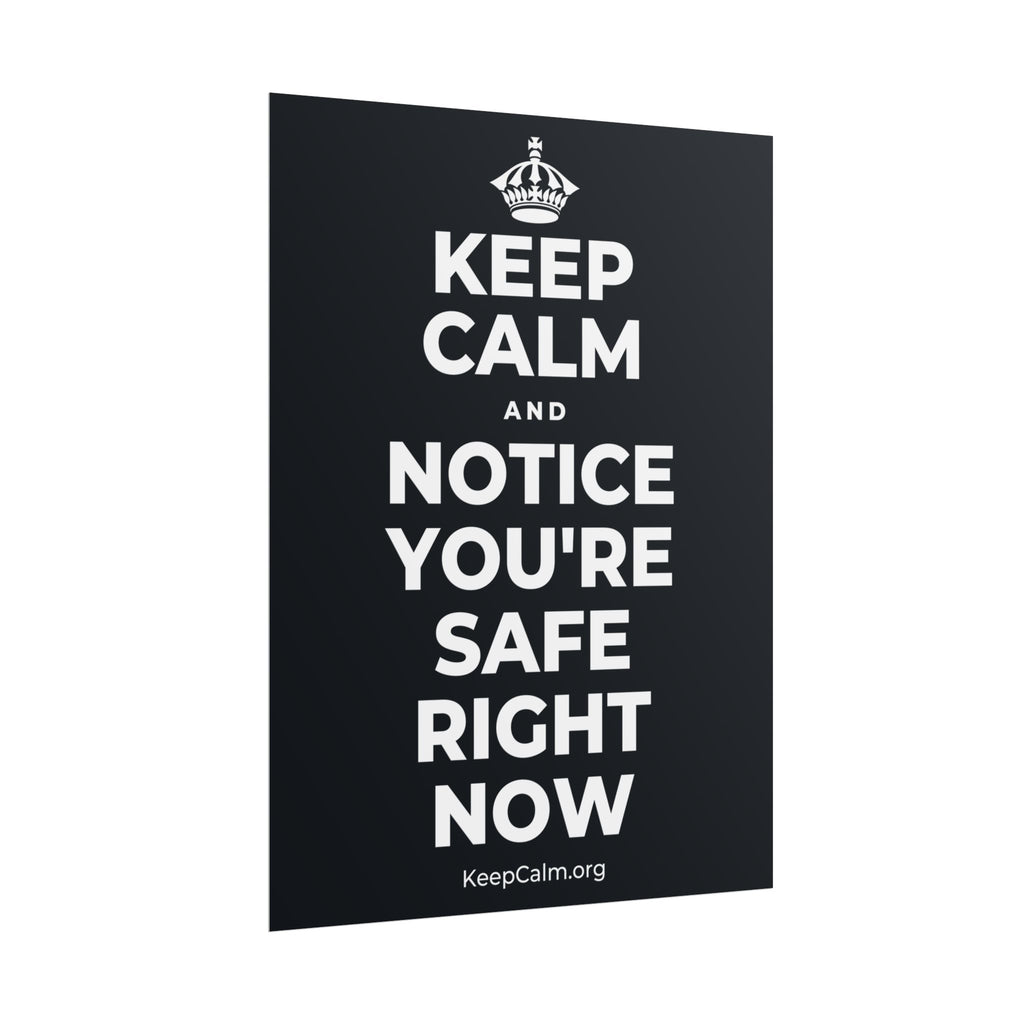 KEEP CALM AND NOTICE YOU'RE SAFE RIGHT NOW Poster (Dark)