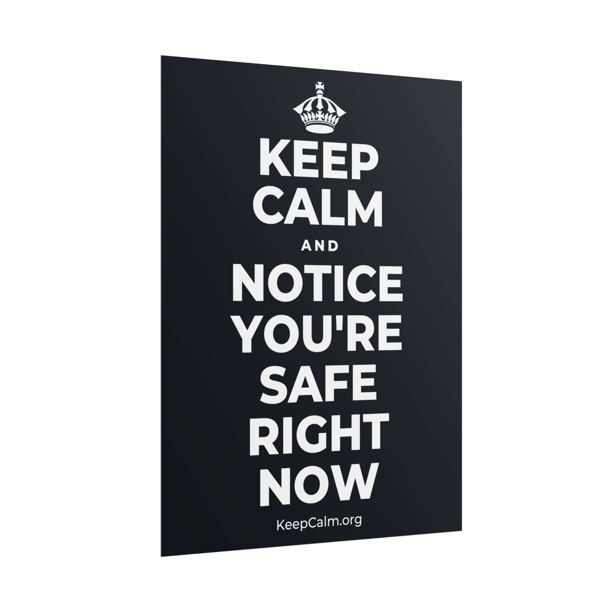 KEEP CALM AND NOTICE YOU'RE SAFE RIGHT NOW Poster (Dark)