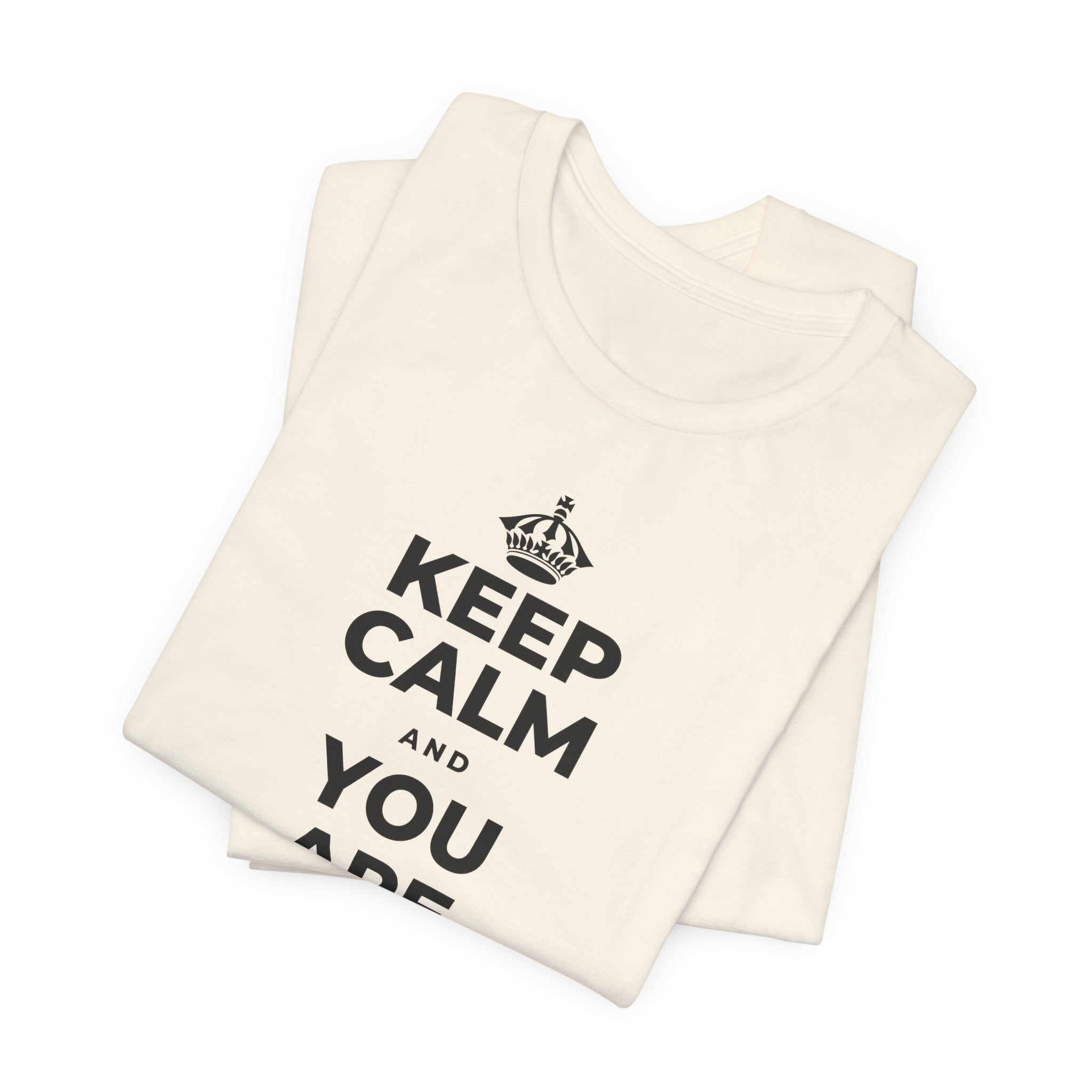 KEEP CALM AND YOU ARE DOING GREAT TODAY T-Shirt (White–Asphalt)