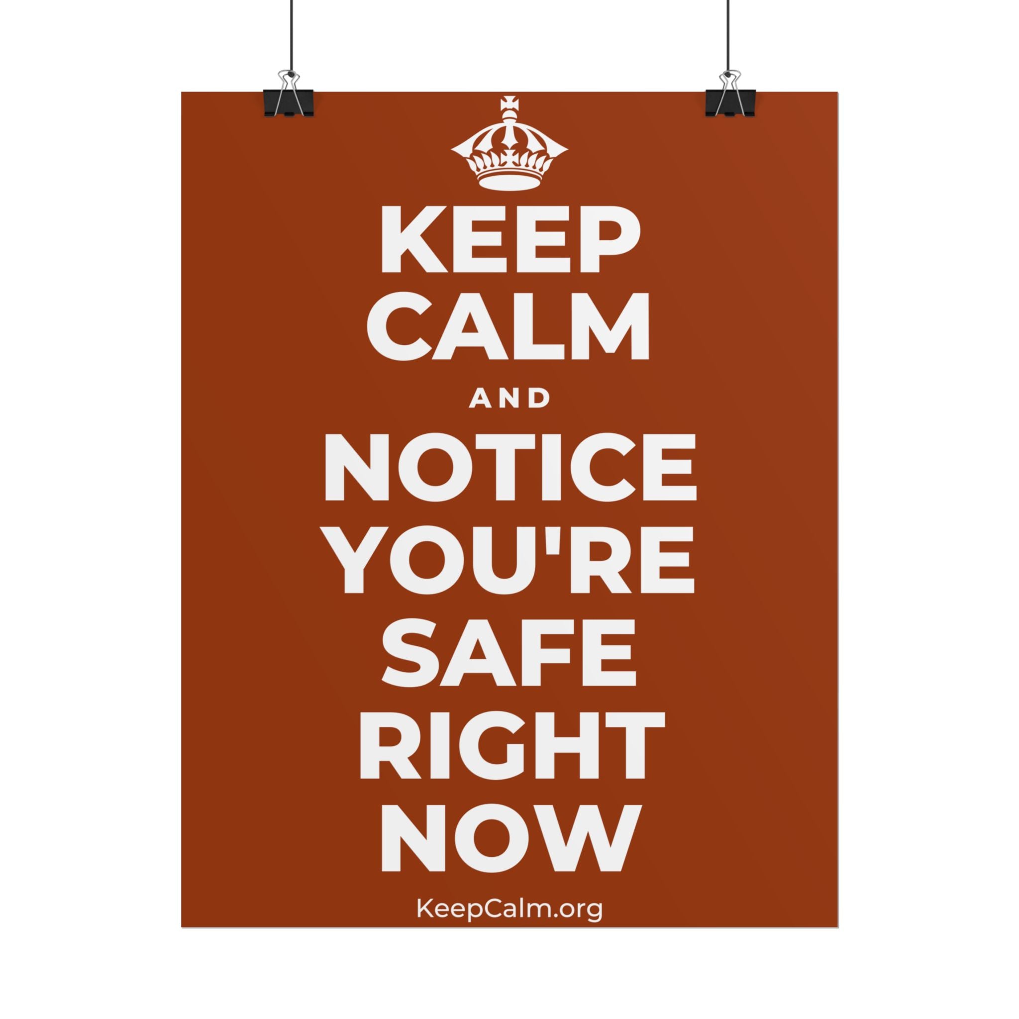 KEEP CALM AND NOTICE YOU'RE SAFE RIGHT NOW Poster