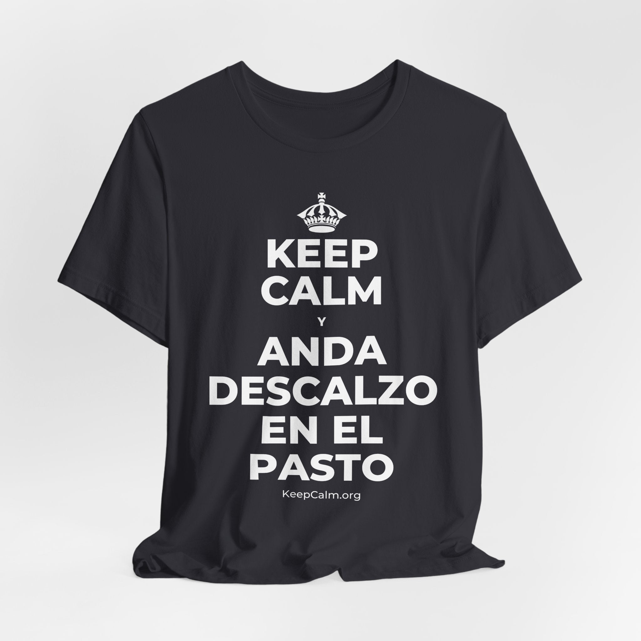 KEEP CALM Y ANDA DESCALZO EN EL PASTO T-Shirt (Baby Blue–Silver)