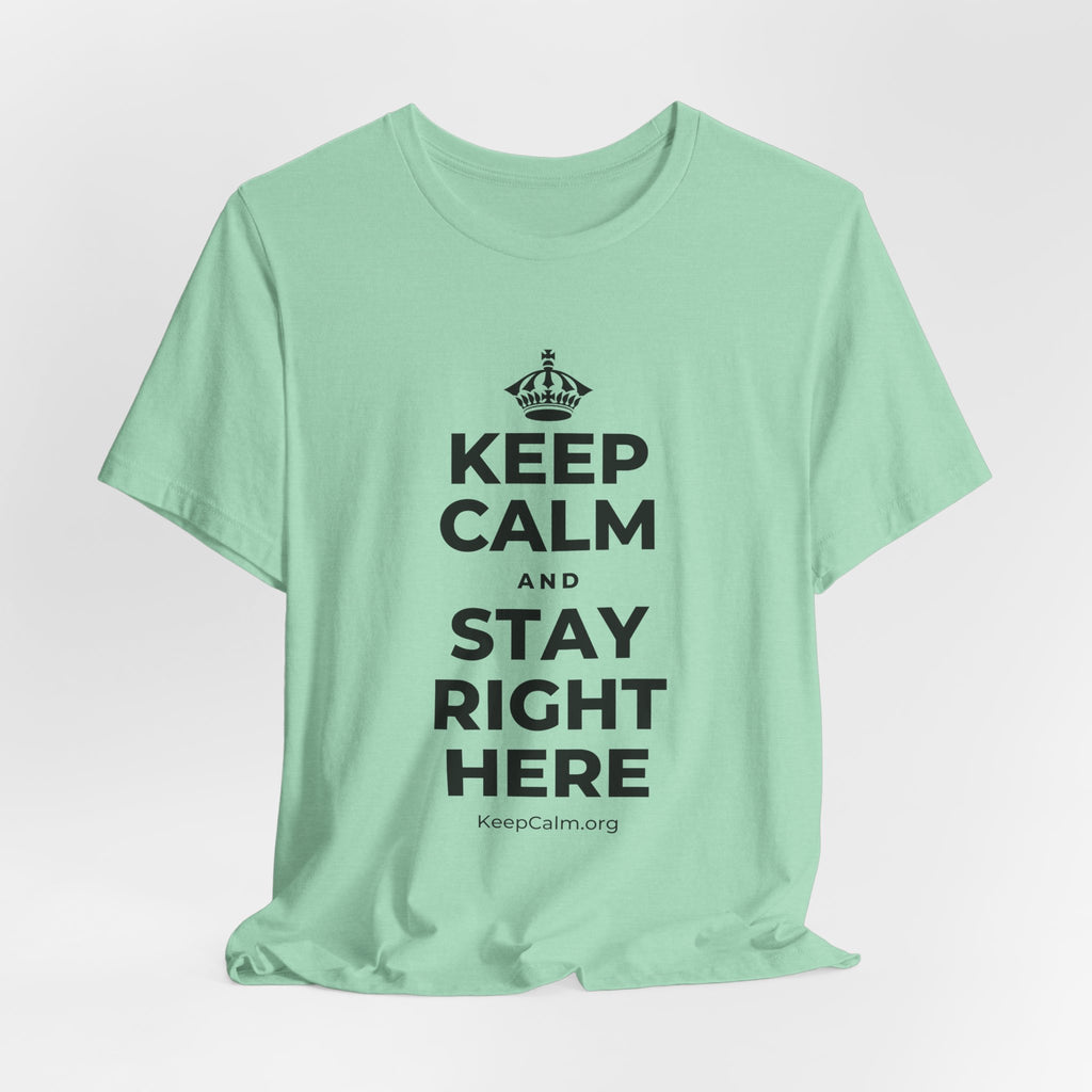 KEEP CALM AND STAY RIGHT HERE T-Shirt (Baby Blue–Silver)