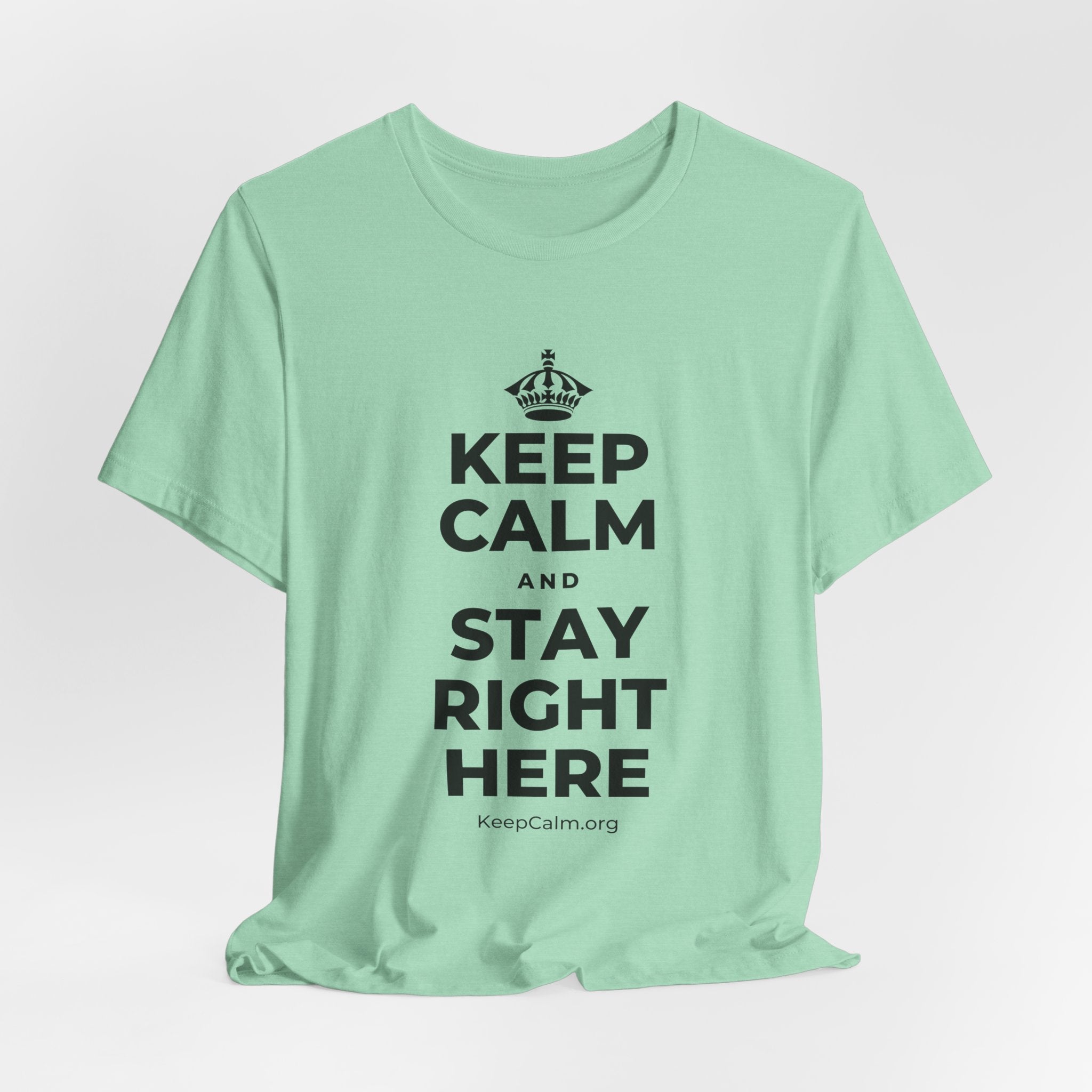 KEEP CALM AND STAY RIGHT HERE T-Shirt (Baby Blue–Silver)