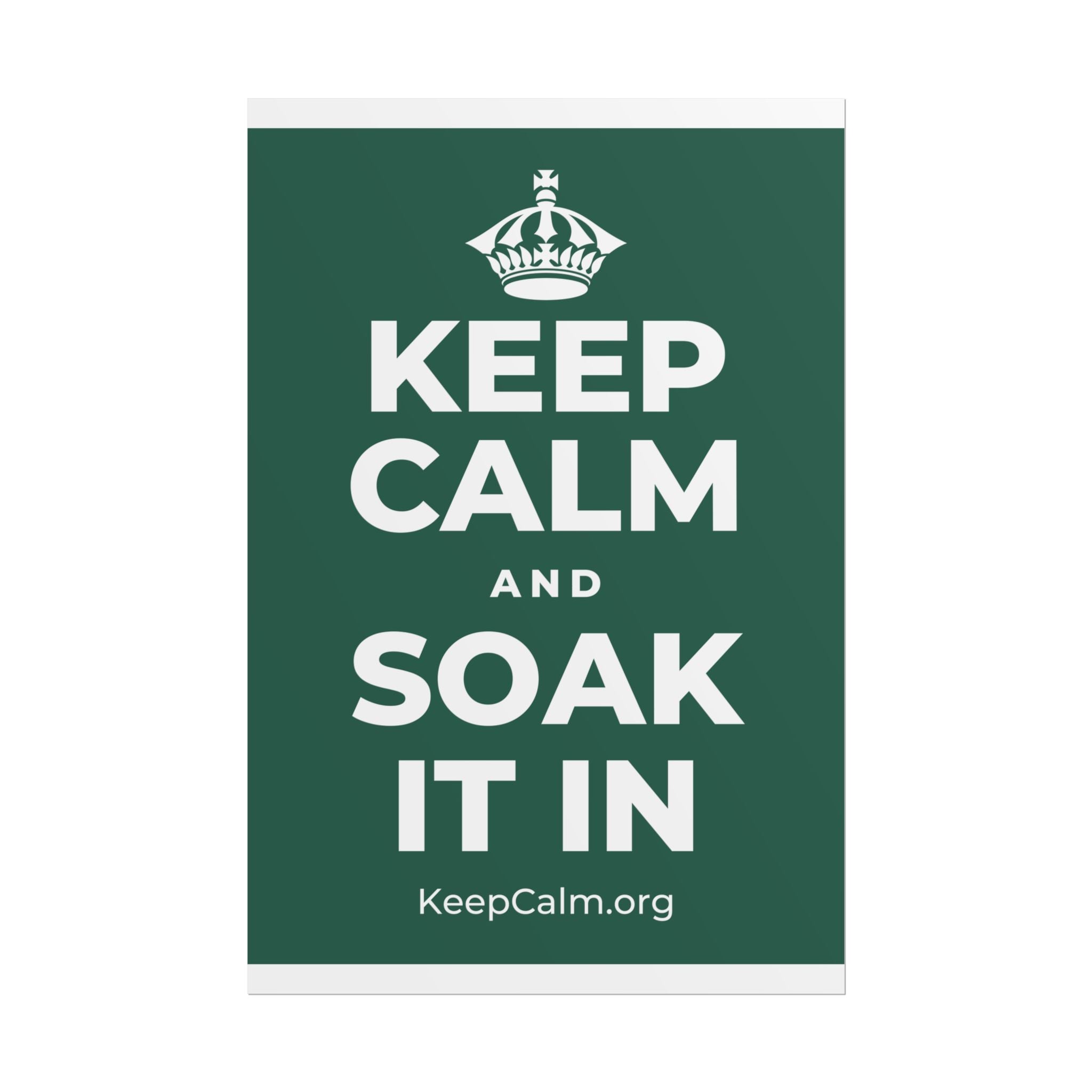 KEEP CALM AND SOAK IT IN Poster