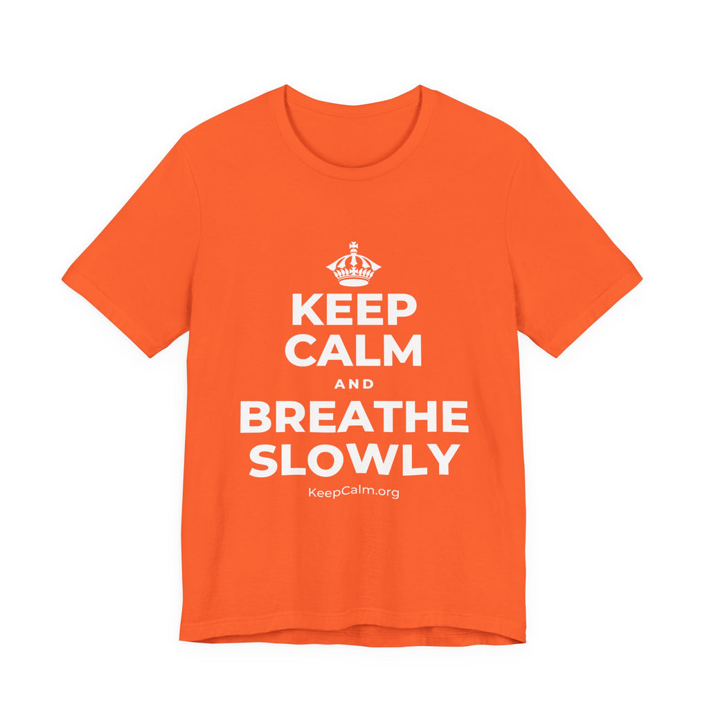 KEEP CALM AND BREATHE SLOWLY T-Shirt (Baby Blue–Silver)