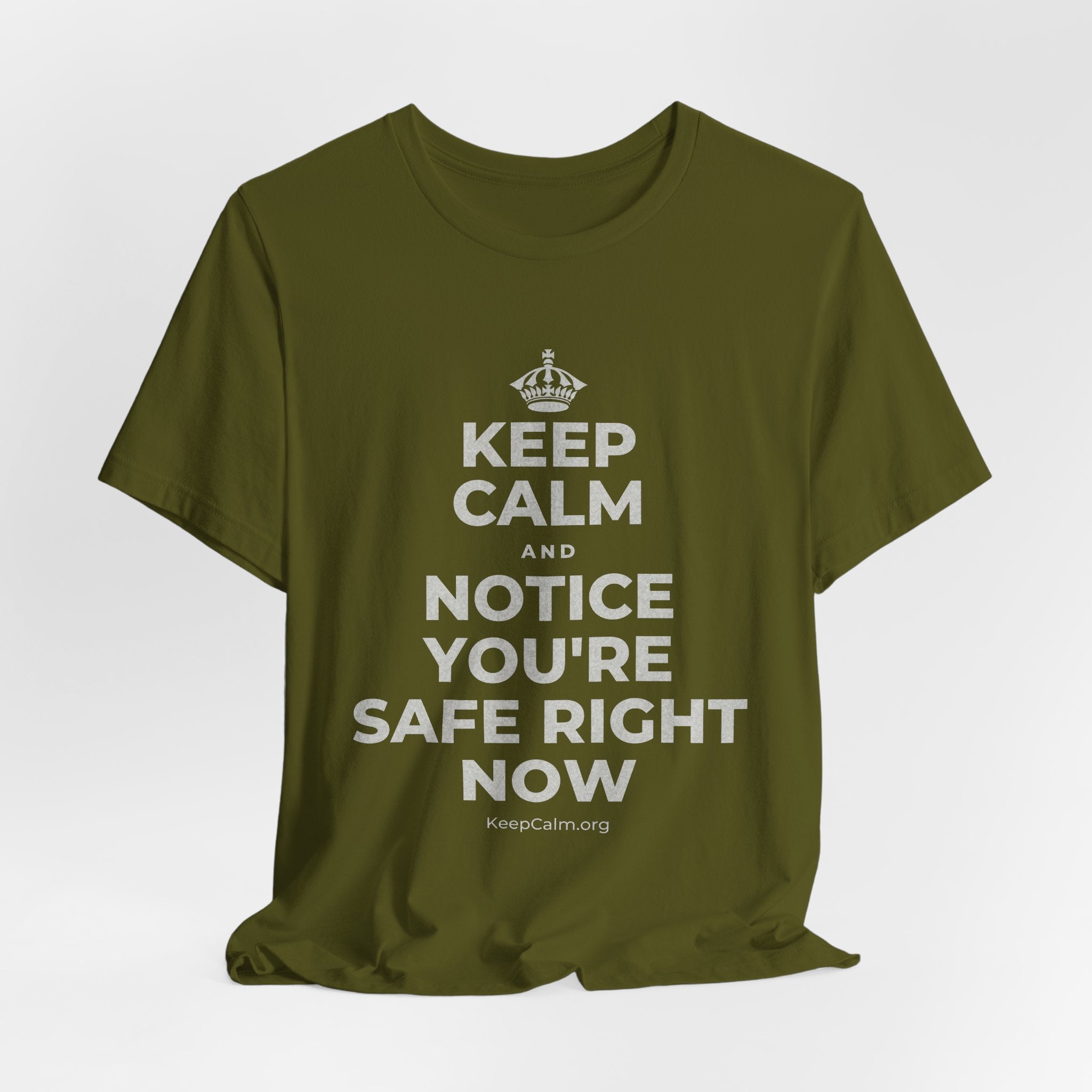 KEEP CALM AND NOTICE YOU'RE SAFE RIGHT NOW T-Shirt (Baby Blue–Silver)