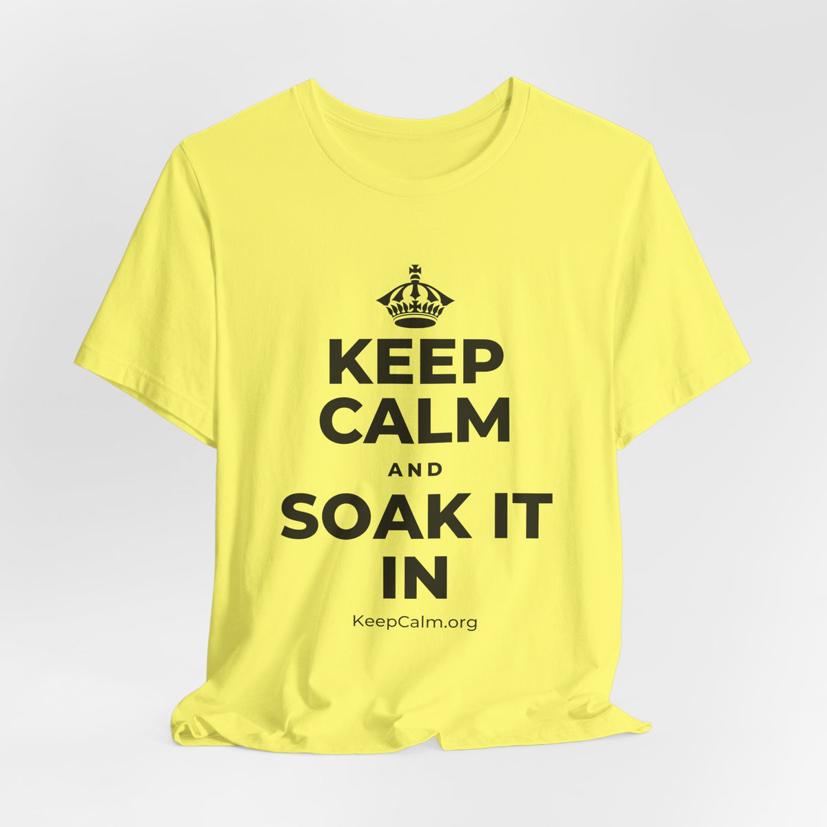 KEEP CALM AND SOAK IT IN T-Shirt (Soft Cream–Heather Mauve)