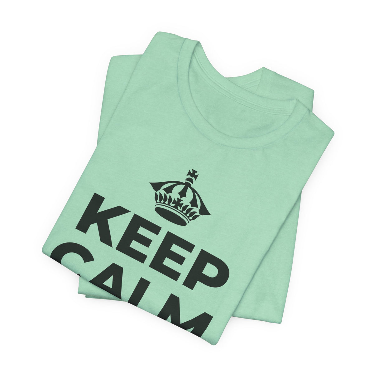 KEEP CALM AND முழு வாரத்தையும் பயன்படுத்துங்கள் T-Shirt (Baby Blue–Silver)