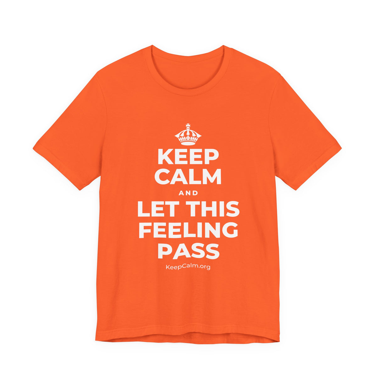 KEEP CALM AND LET THIS FEELING PASS T-Shirt (Baby Blue–Silver)