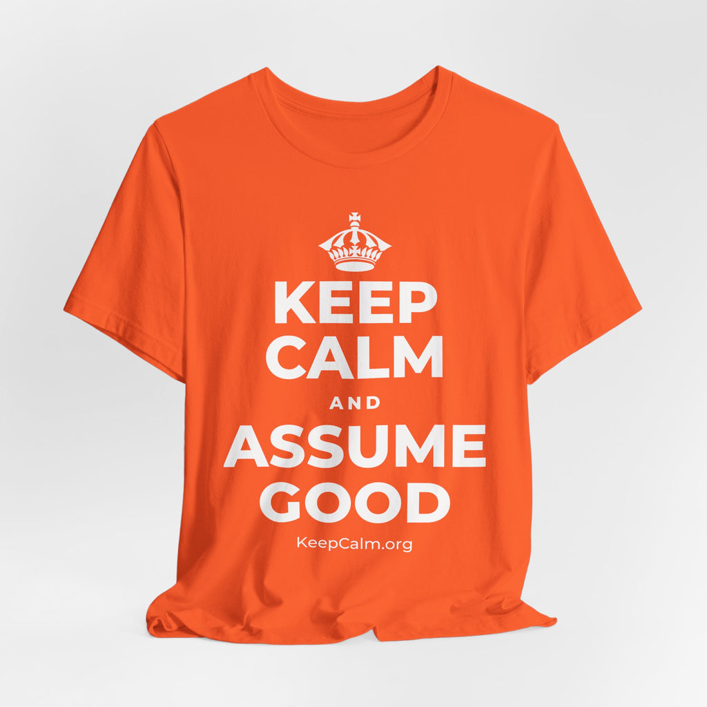 KEEP CALM AND ASSUME GOOD T-Shirt (Baby Blue–Silver)