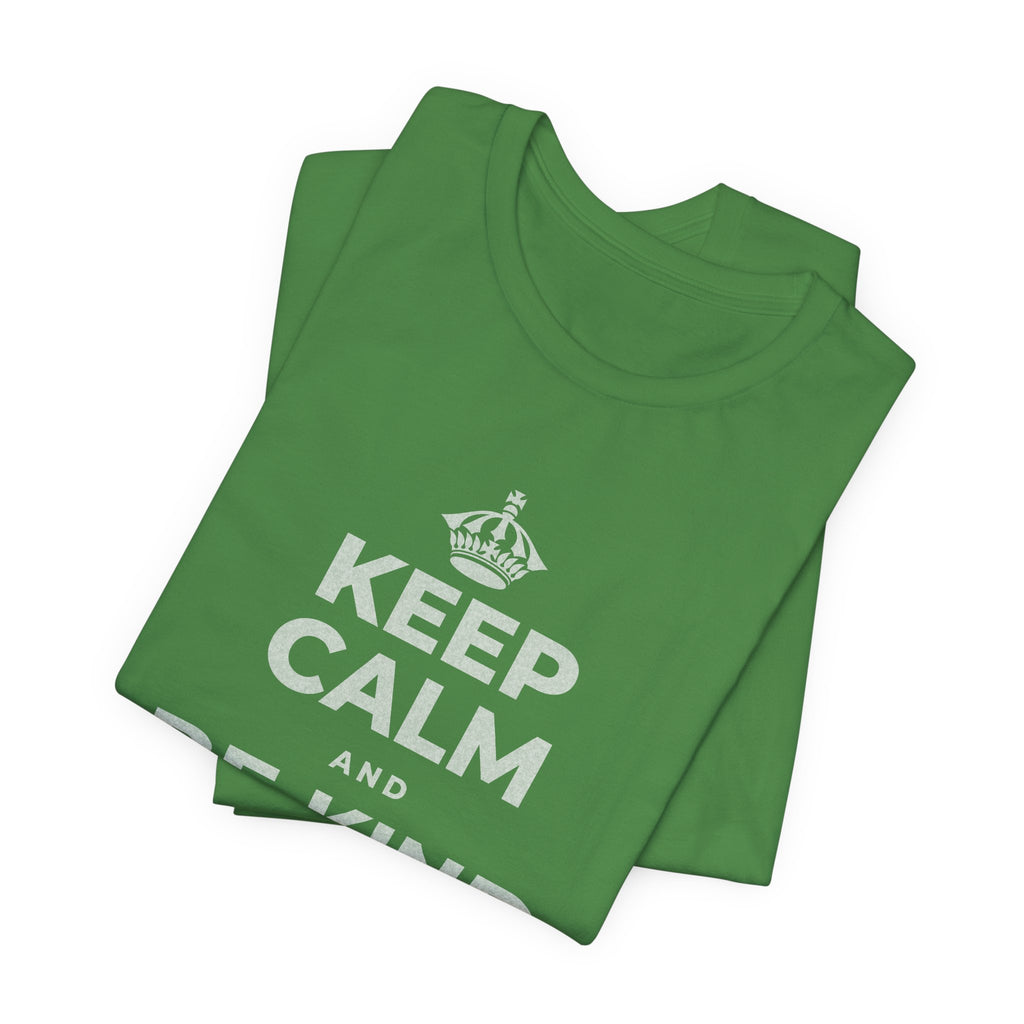 KEEP CALM AND BE KIND TO THE NEW KID T-Shirt (Baby Blue–Silver)