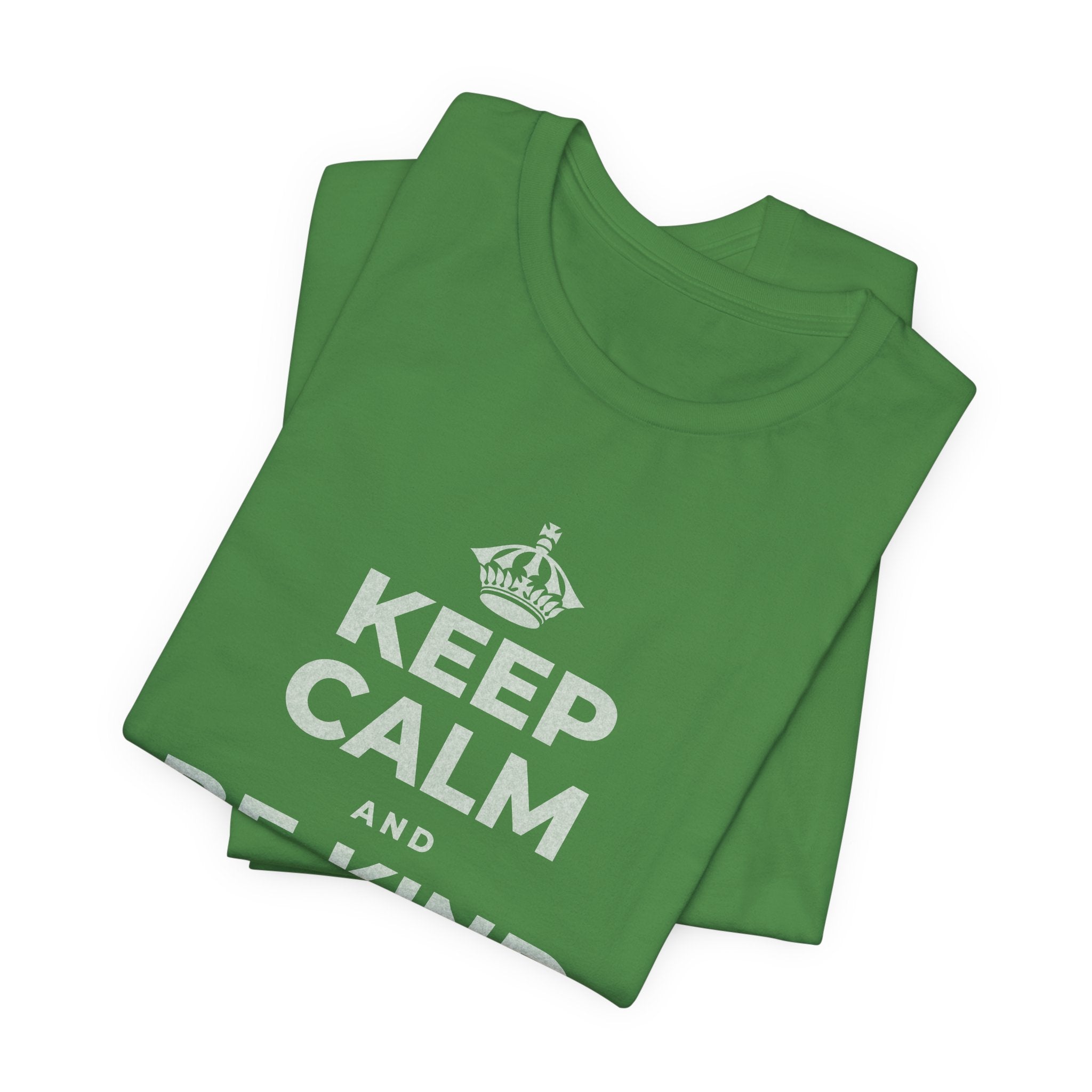 KEEP CALM AND BE KIND TO THE NEW KID T-Shirt (Baby Blue–Silver)