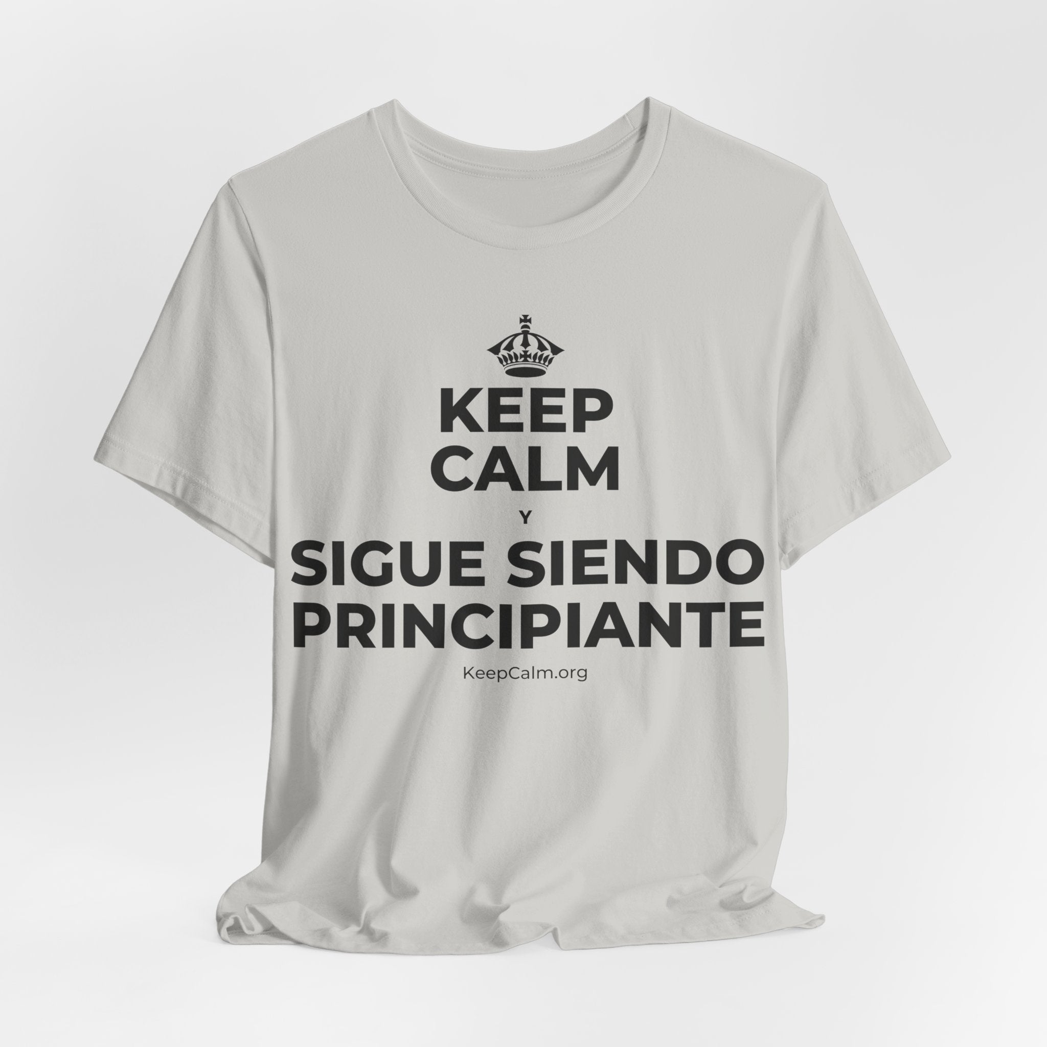 KEEP CALM Y SIGUE SIENDO PRINCIPIANTE T-Shirt (Baby Blue–Silver)