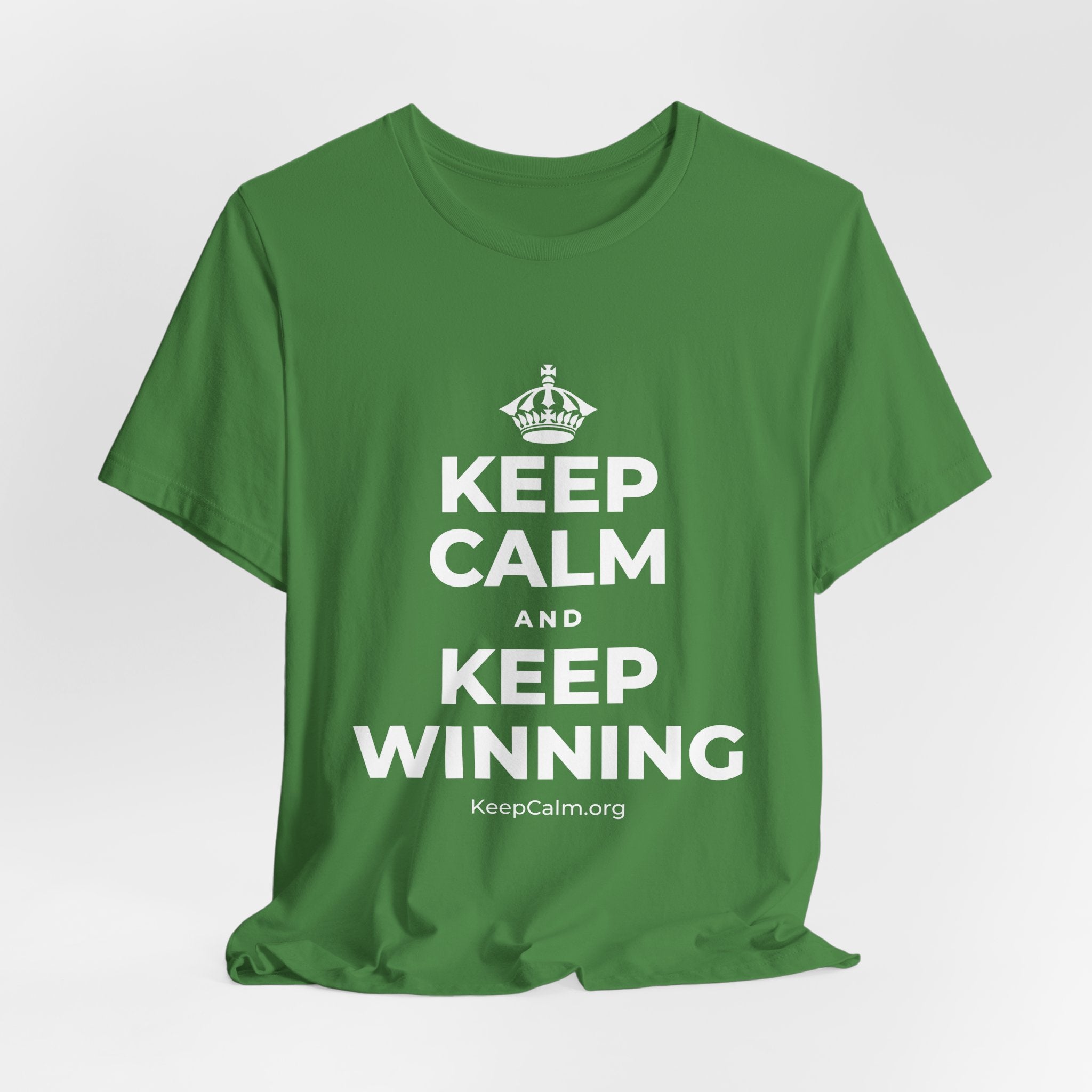 KEEP CALM AND KEEP WINNING T-Shirt (Baby Blue–Silver)