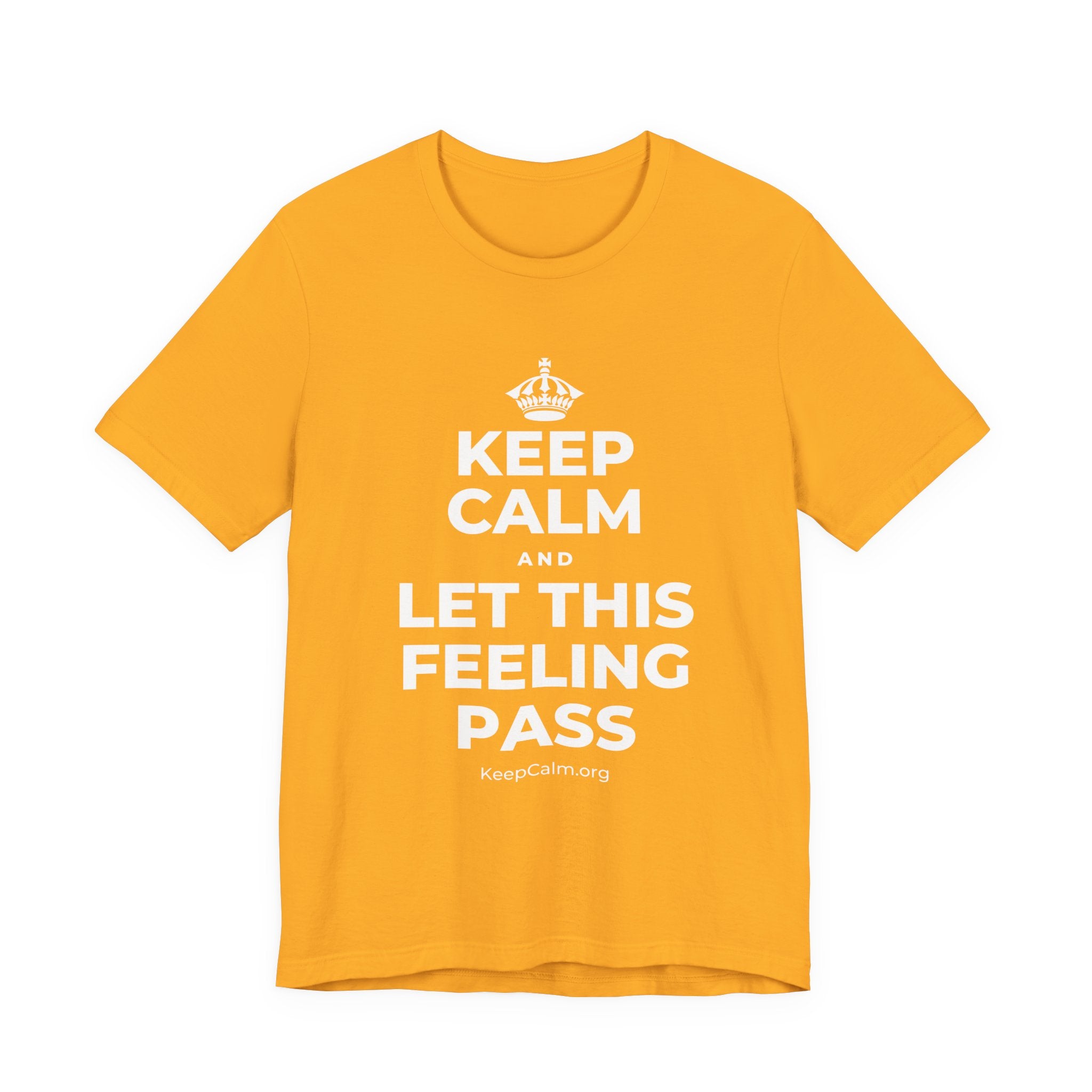 KEEP CALM AND LET THIS FEELING PASS T-Shirt (Baby Blue–Silver)