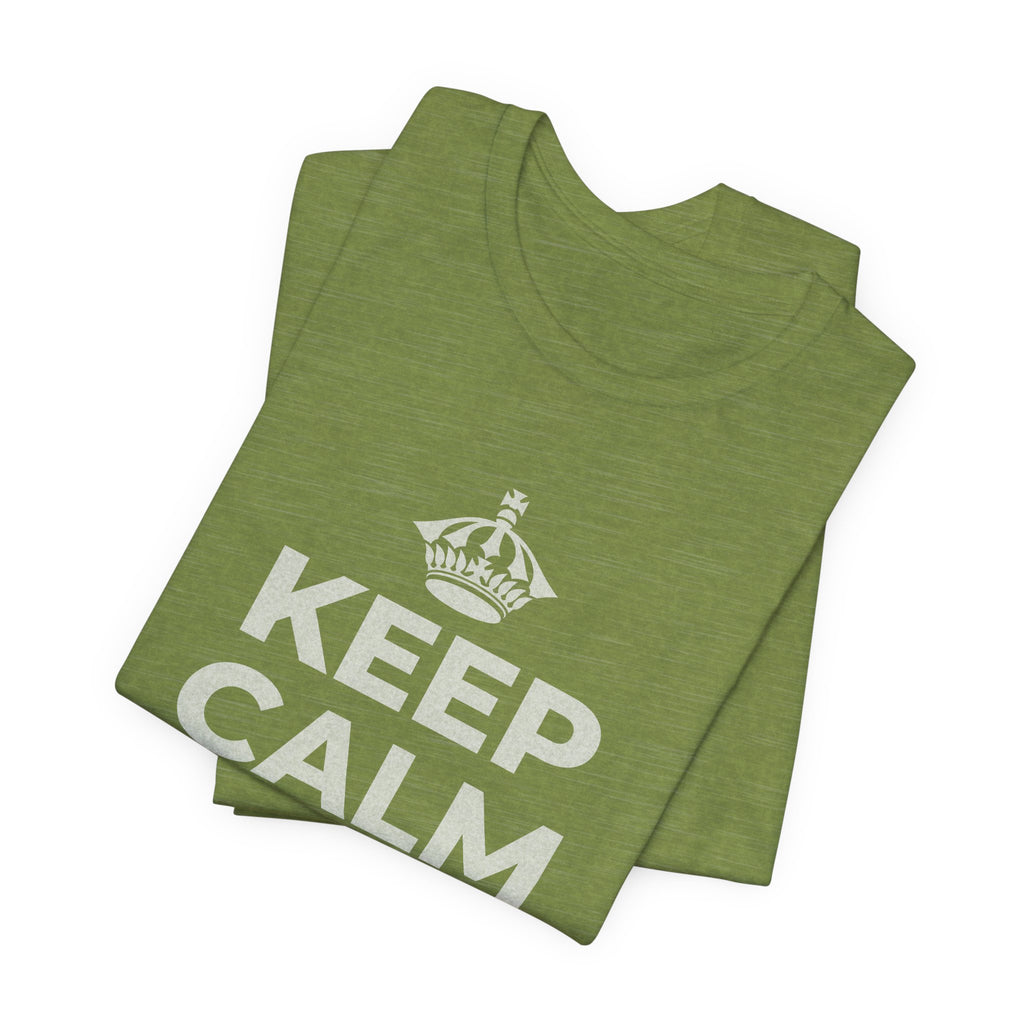 KEEP CALM AND OWN IT T-Shirt (Baby Blue–Silver)