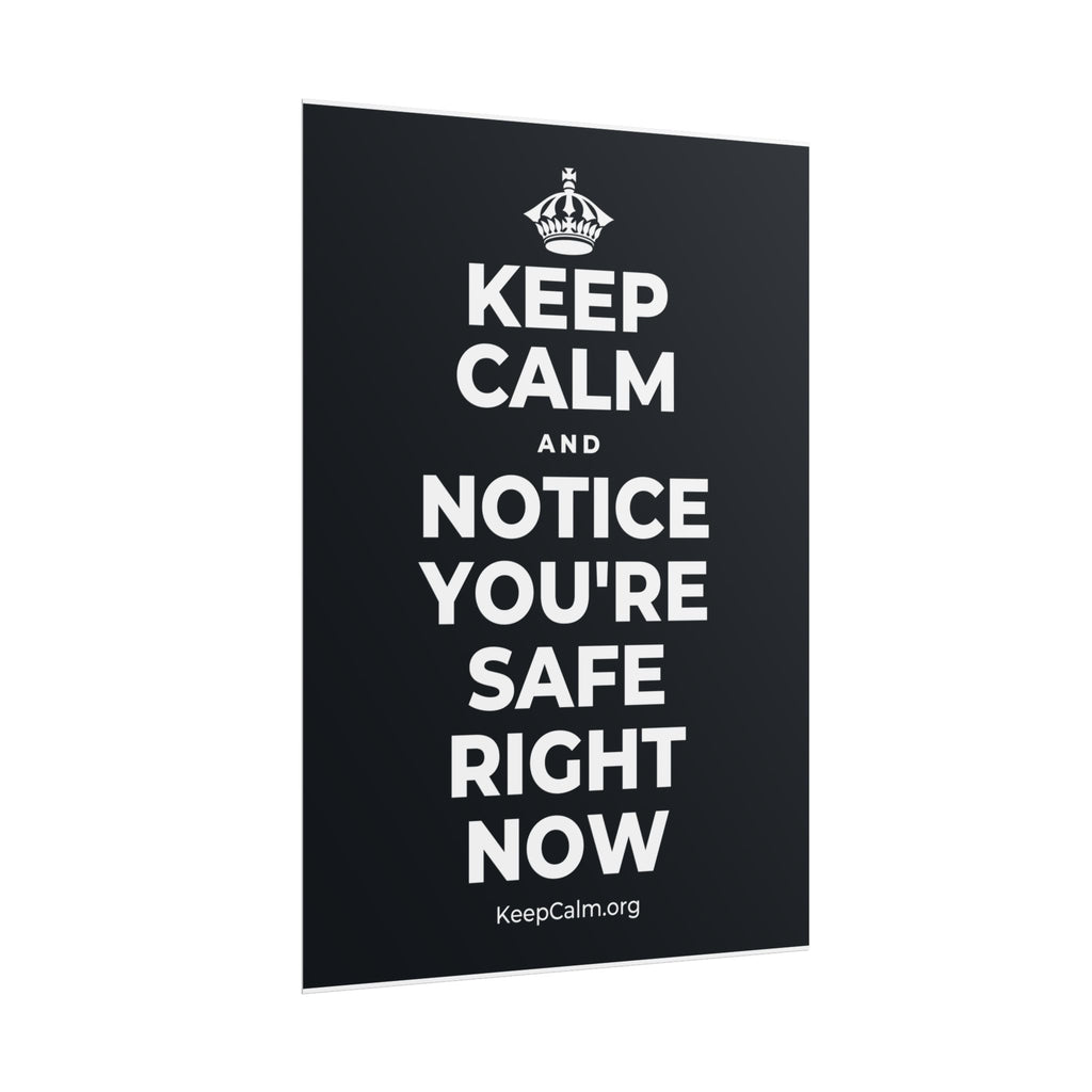 KEEP CALM AND NOTICE YOU'RE SAFE RIGHT NOW Poster (Dark)