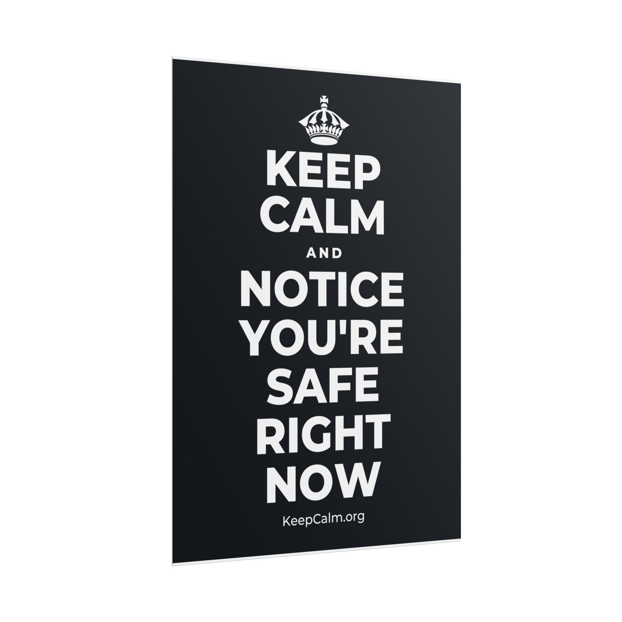 KEEP CALM AND NOTICE YOU'RE SAFE RIGHT NOW Poster (Dark)