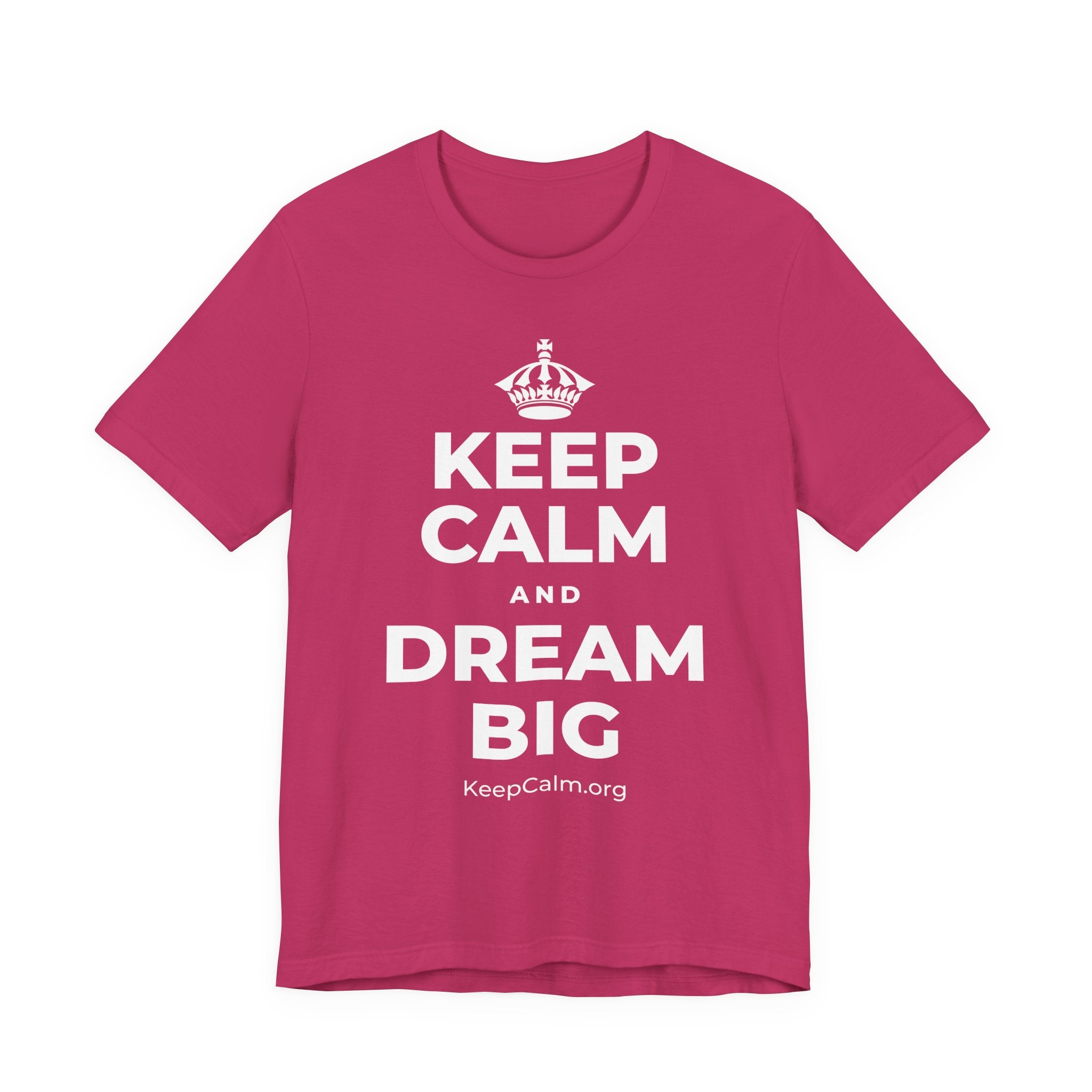 KEEP CALM AND DREAM BIG T-Shirt (Baby Blue–Silver)