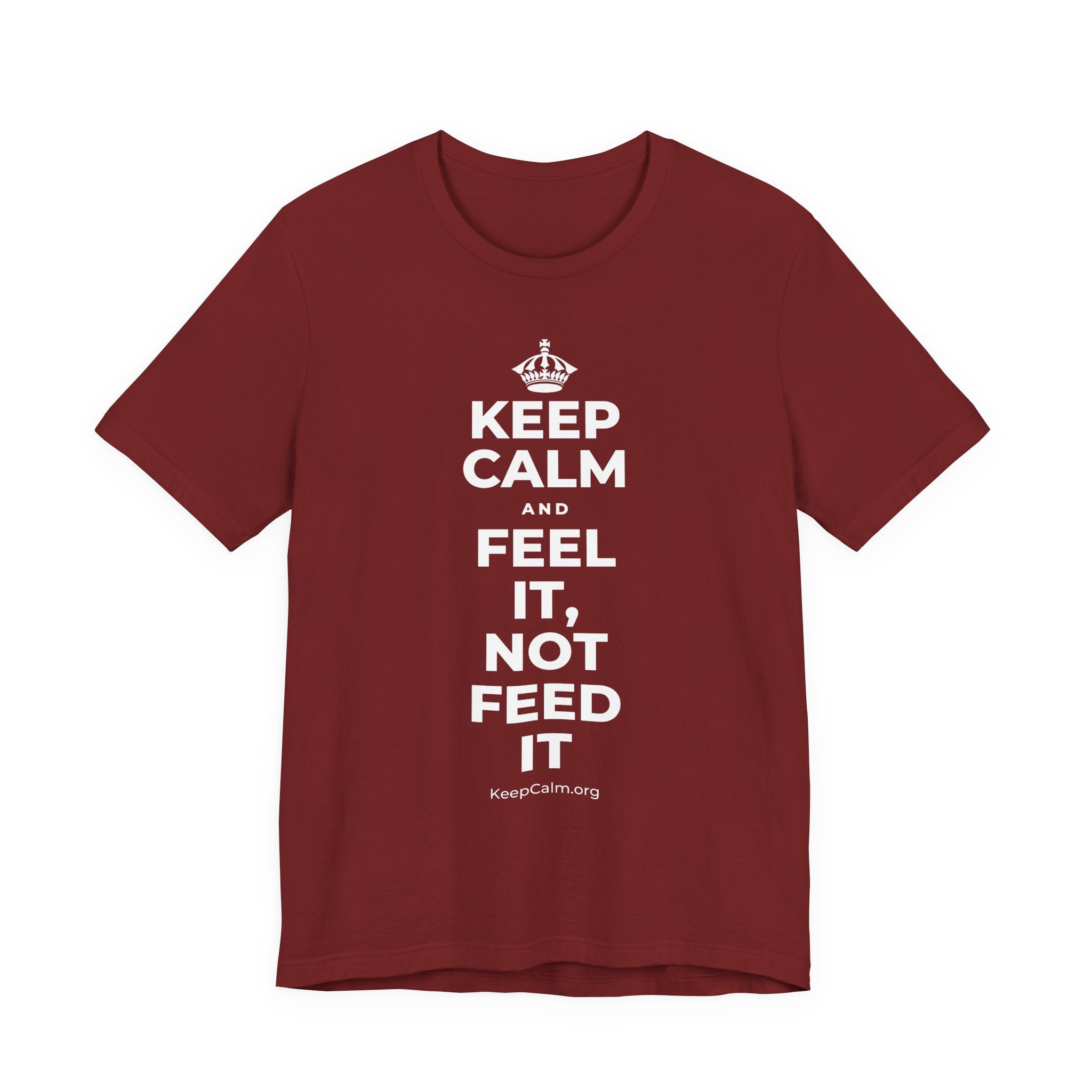 KEEP CALM AND FEEL IT, NOT FEED IT T-Shirt (Baby Blue–Silver)