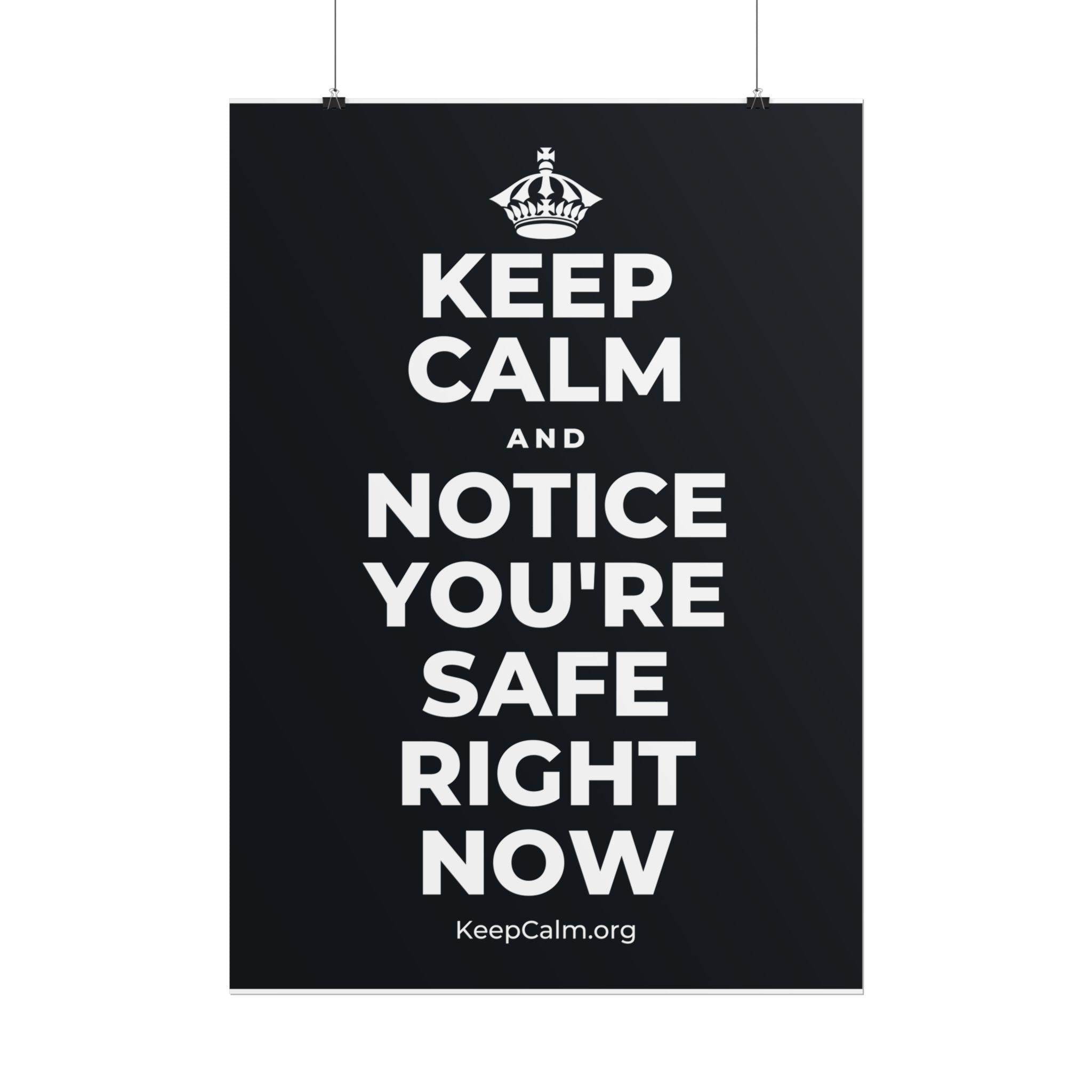 KEEP CALM AND NOTICE YOU'RE SAFE RIGHT NOW Poster (Dark)