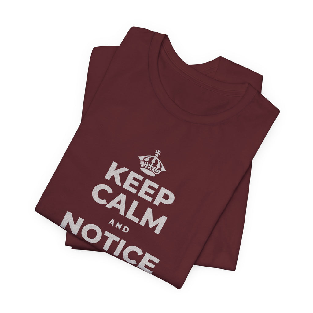 KEEP CALM AND NOTICE YOU'RE SAFE RIGHT NOW T-Shirt (Baby Blue–Silver)