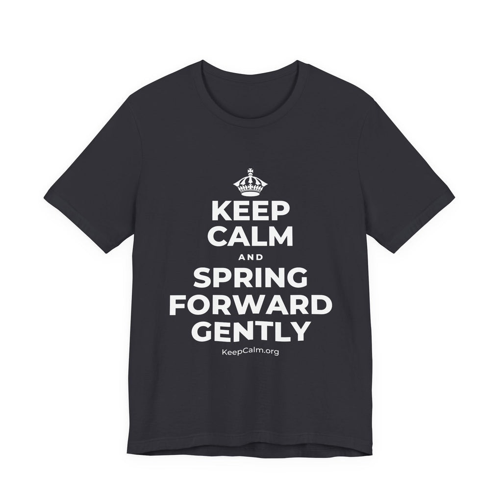 KEEP CALM AND SPRING FORWARD GENTLY T-Shirt (Baby Blue–Silver)