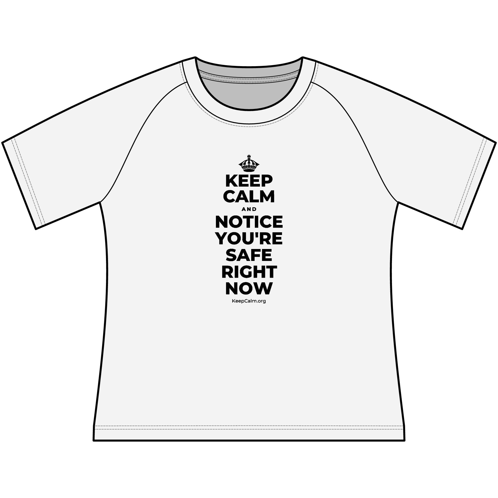 KEEP CALM AND NOTICE YOU'RE SAFE RIGHT NOW Women's Raglan Tee
