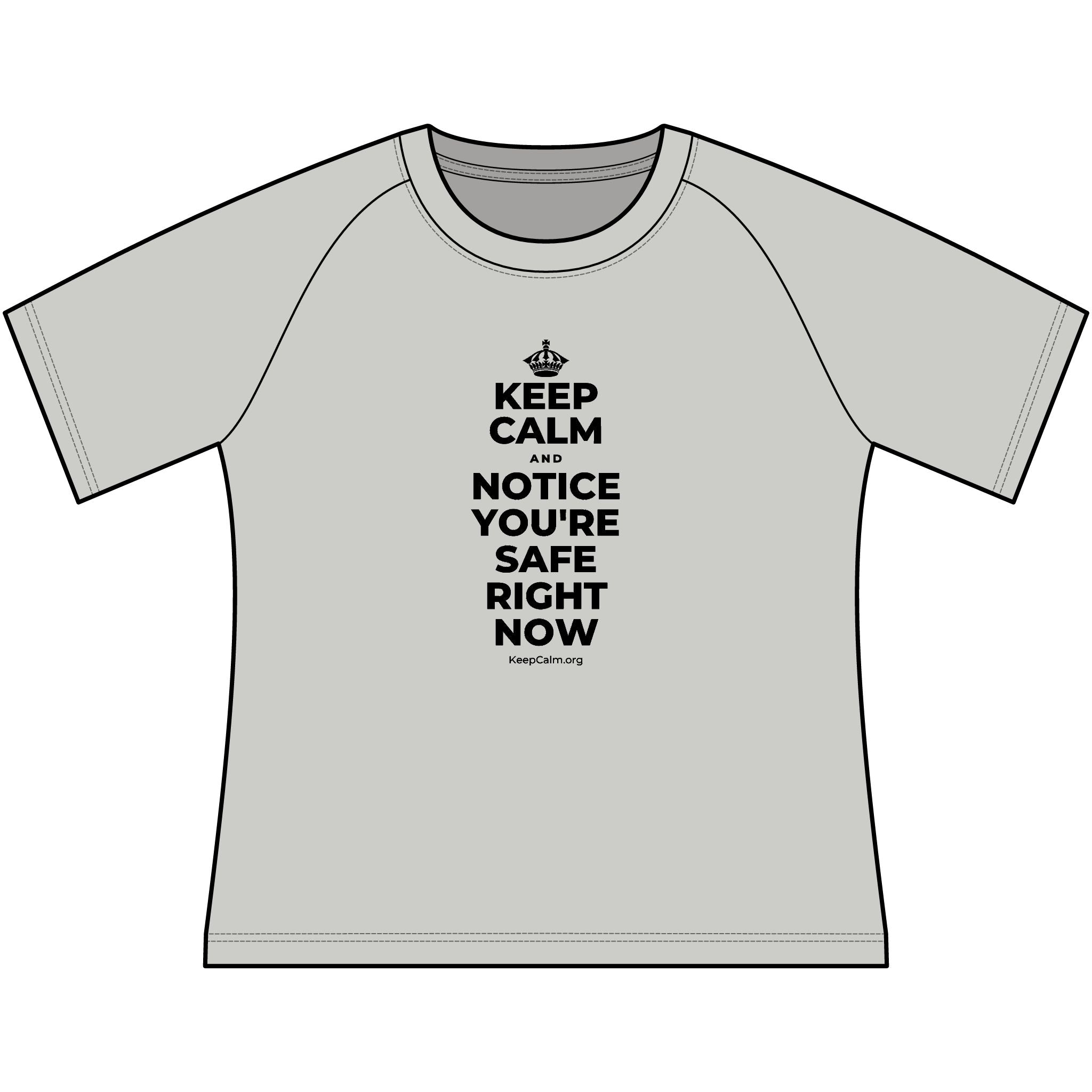 KEEP CALM AND NOTICE YOU'RE SAFE RIGHT NOW Women's Raglan Tee