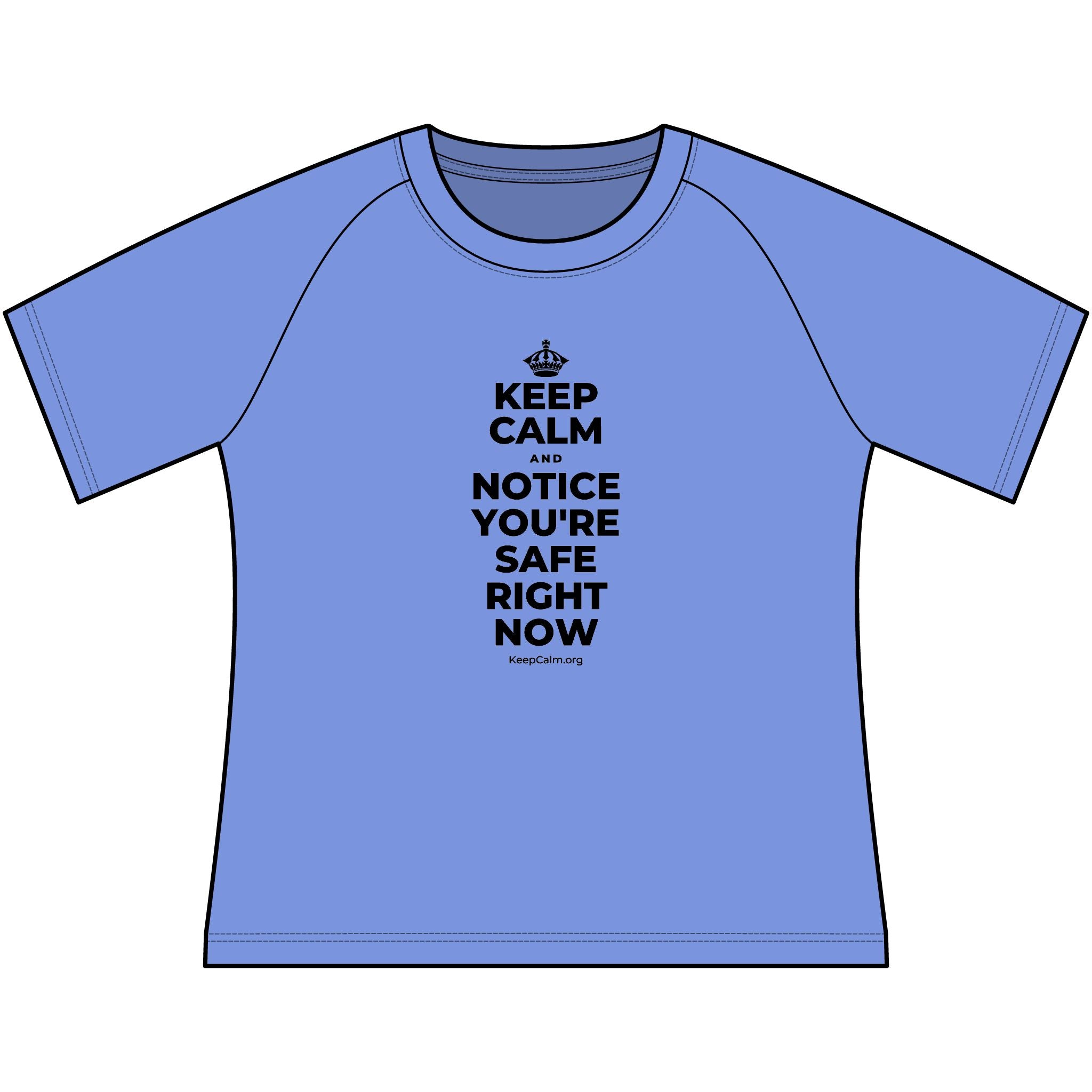 KEEP CALM AND NOTICE YOU'RE SAFE RIGHT NOW Women's Raglan Tee