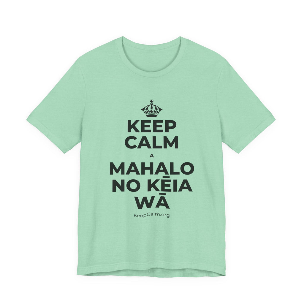KEEP CALM A MAHALO NO KĒIA WĀ T-Shirt (Baby Blue–Silver)