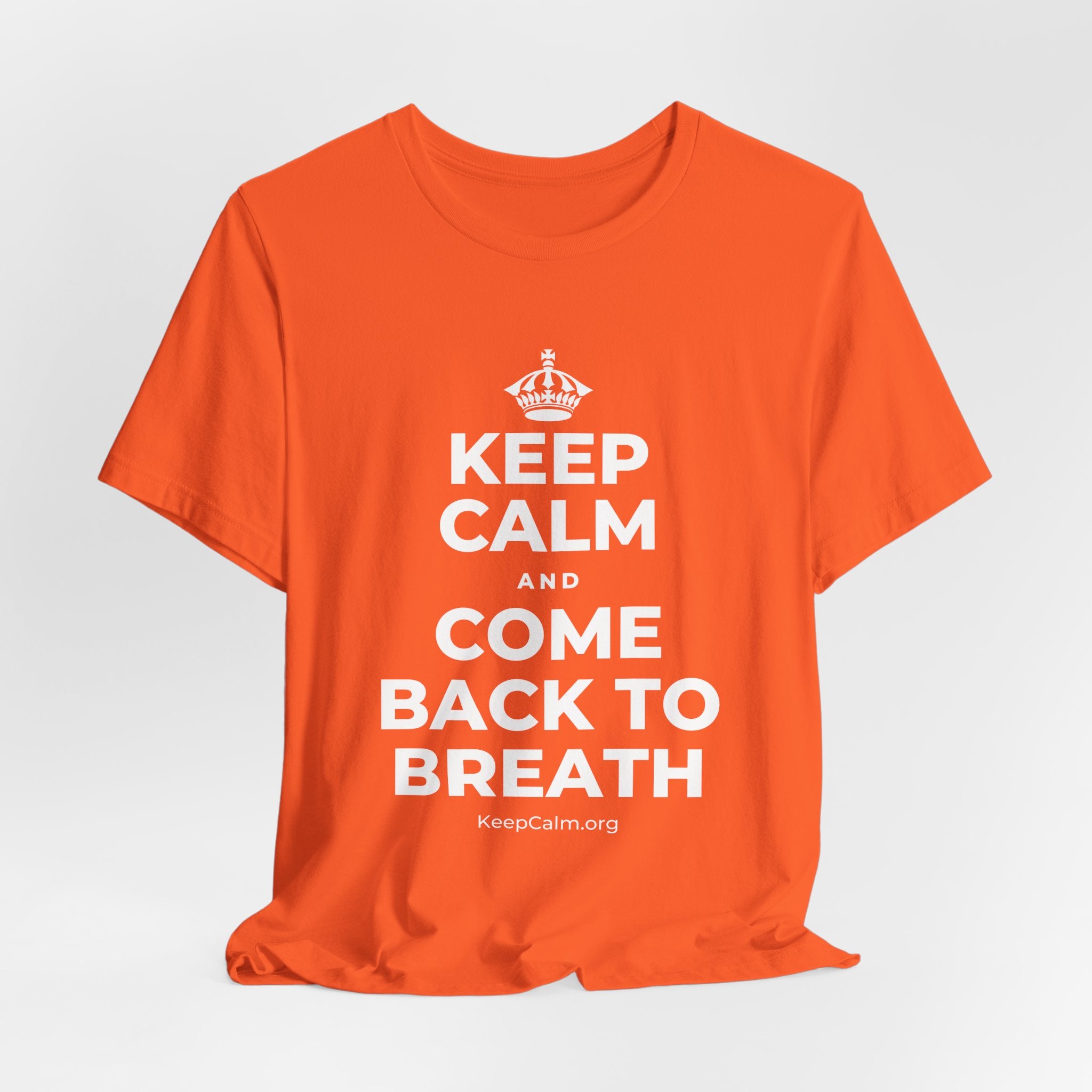 KEEP CALM AND COME BACK TO BREATH T-Shirt (Baby Blue–Silver)