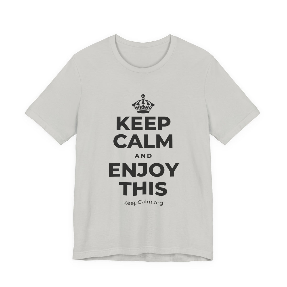 KEEP CALM AND ENJOY THIS T-Shirt (Baby Blue–Silver)