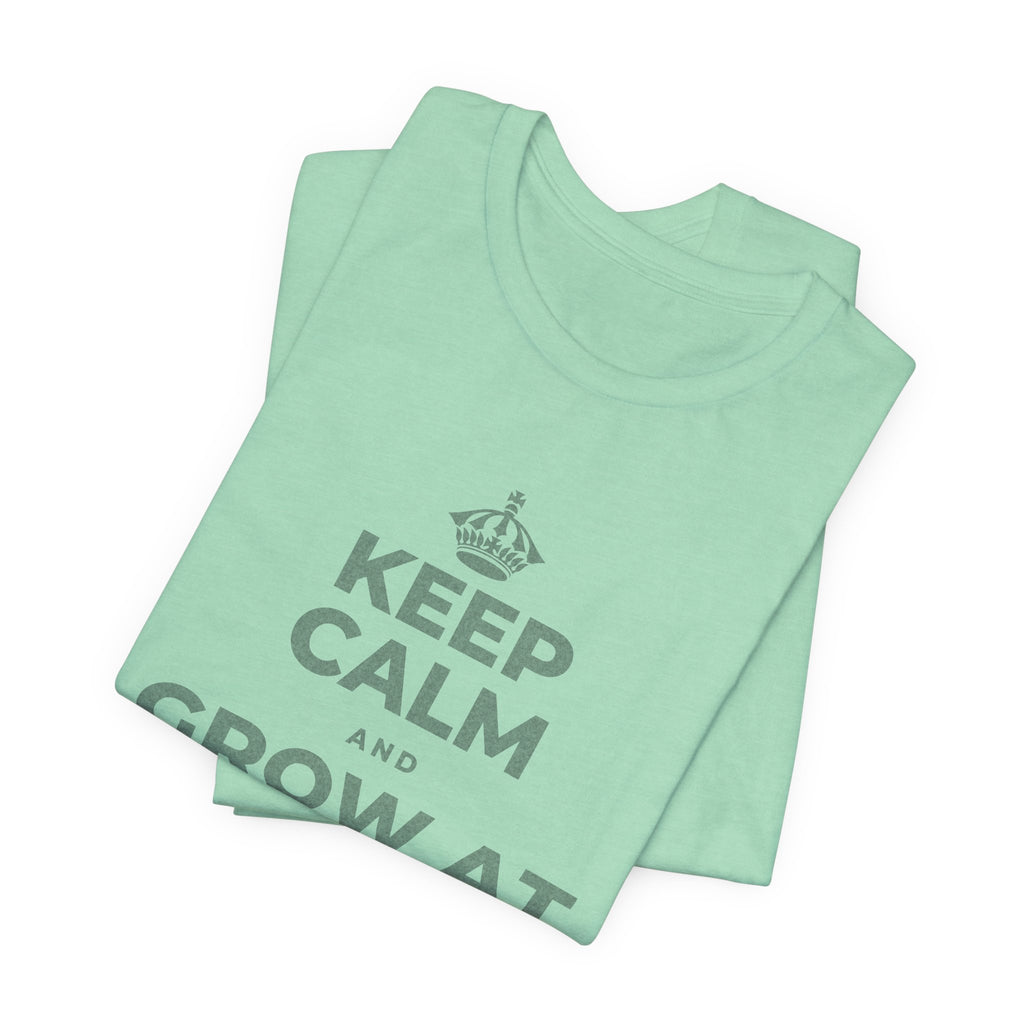 KEEP CALM AND GROW AT YOUR OWN PACE T-Shirt (Baby Blue–Silver)