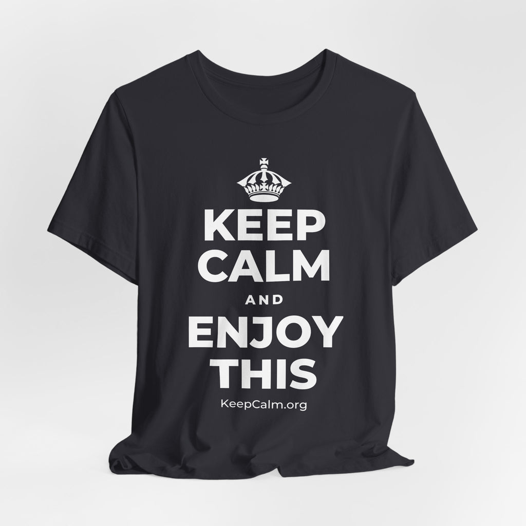 KEEP CALM AND ENJOY THIS T-Shirt (Baby Blue–Silver)