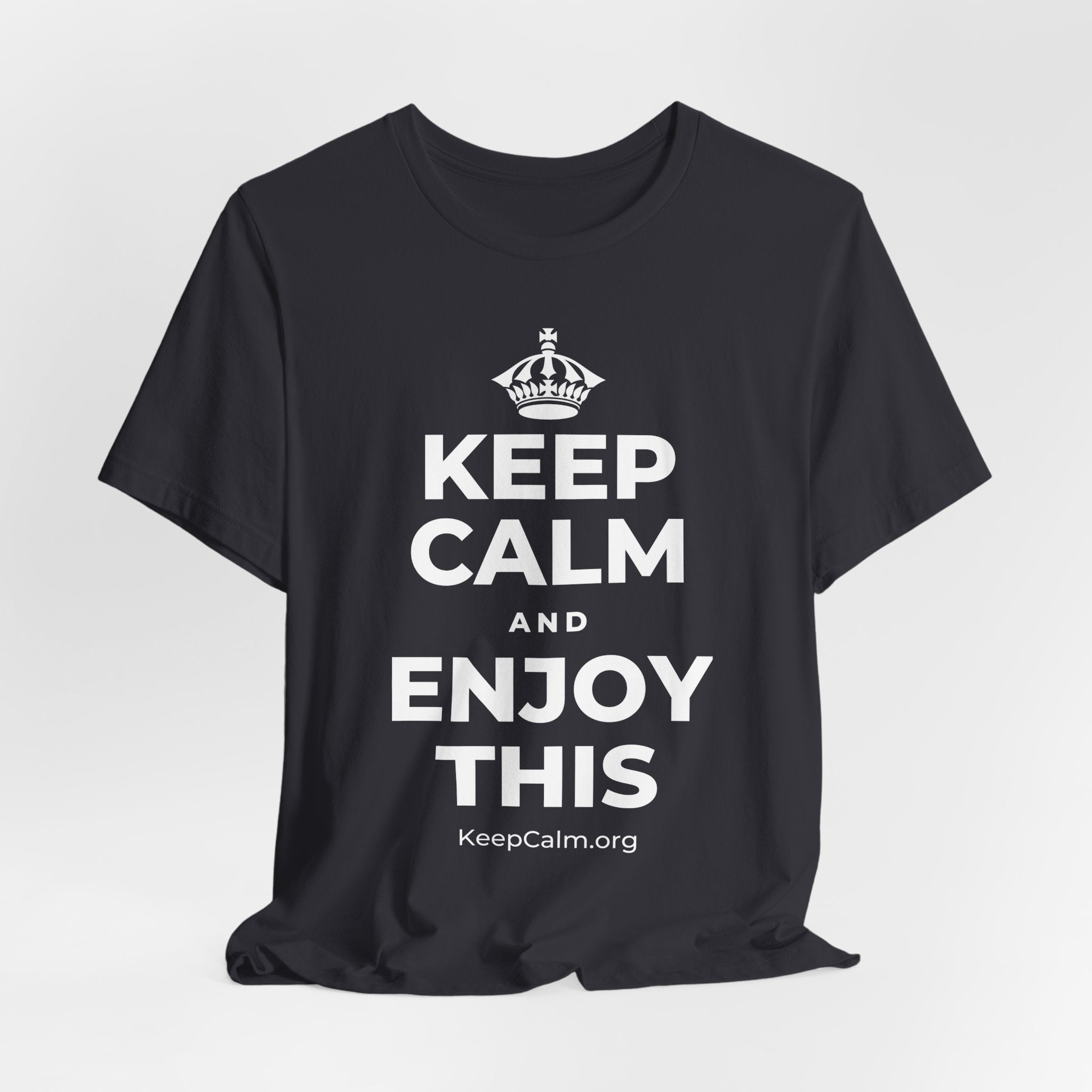 KEEP CALM AND ENJOY THIS T-Shirt (Baby Blue–Silver)