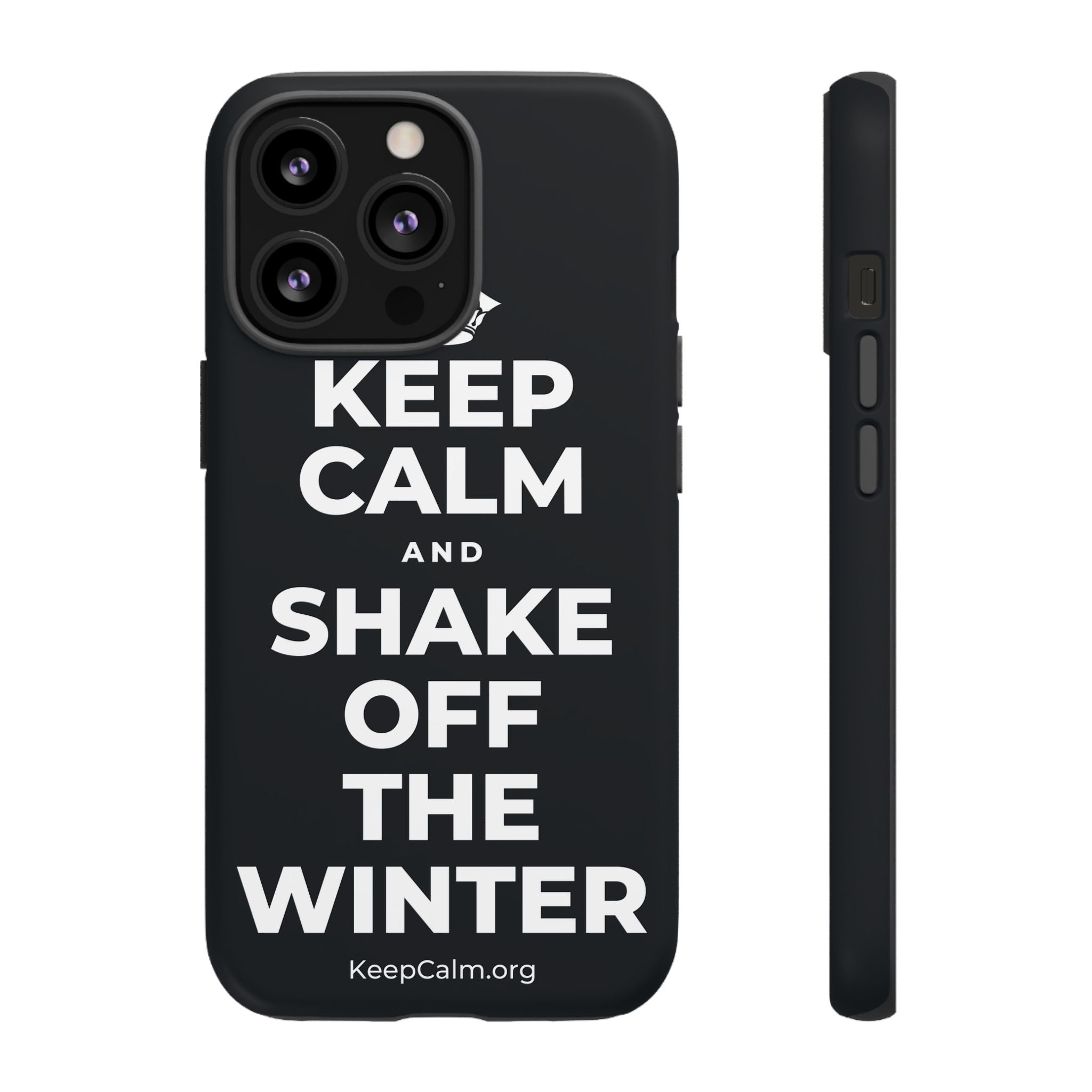 KEEP CALM AND SHAKE OFF THE WINTER Phone Case (Dark)