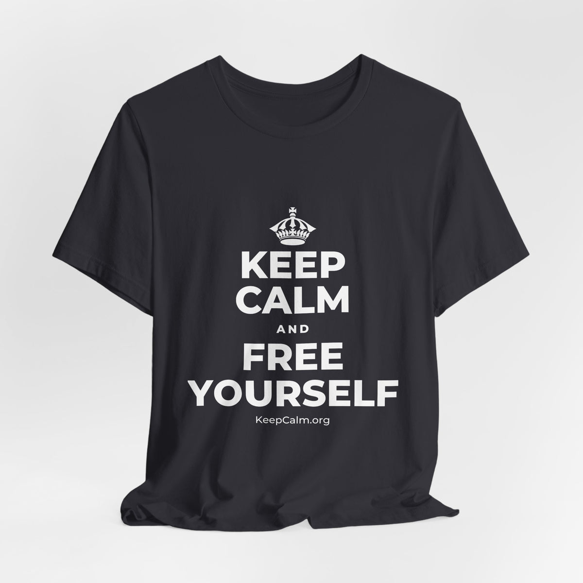KEEP CALM AND FREE YOURSELF T-Shirt (Baby Blue–Silver)